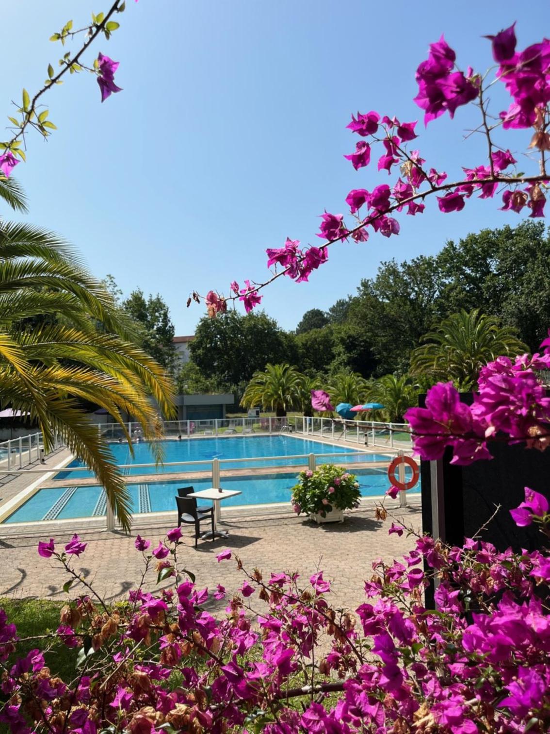 Double or Twin Room with Pool View photo 3
