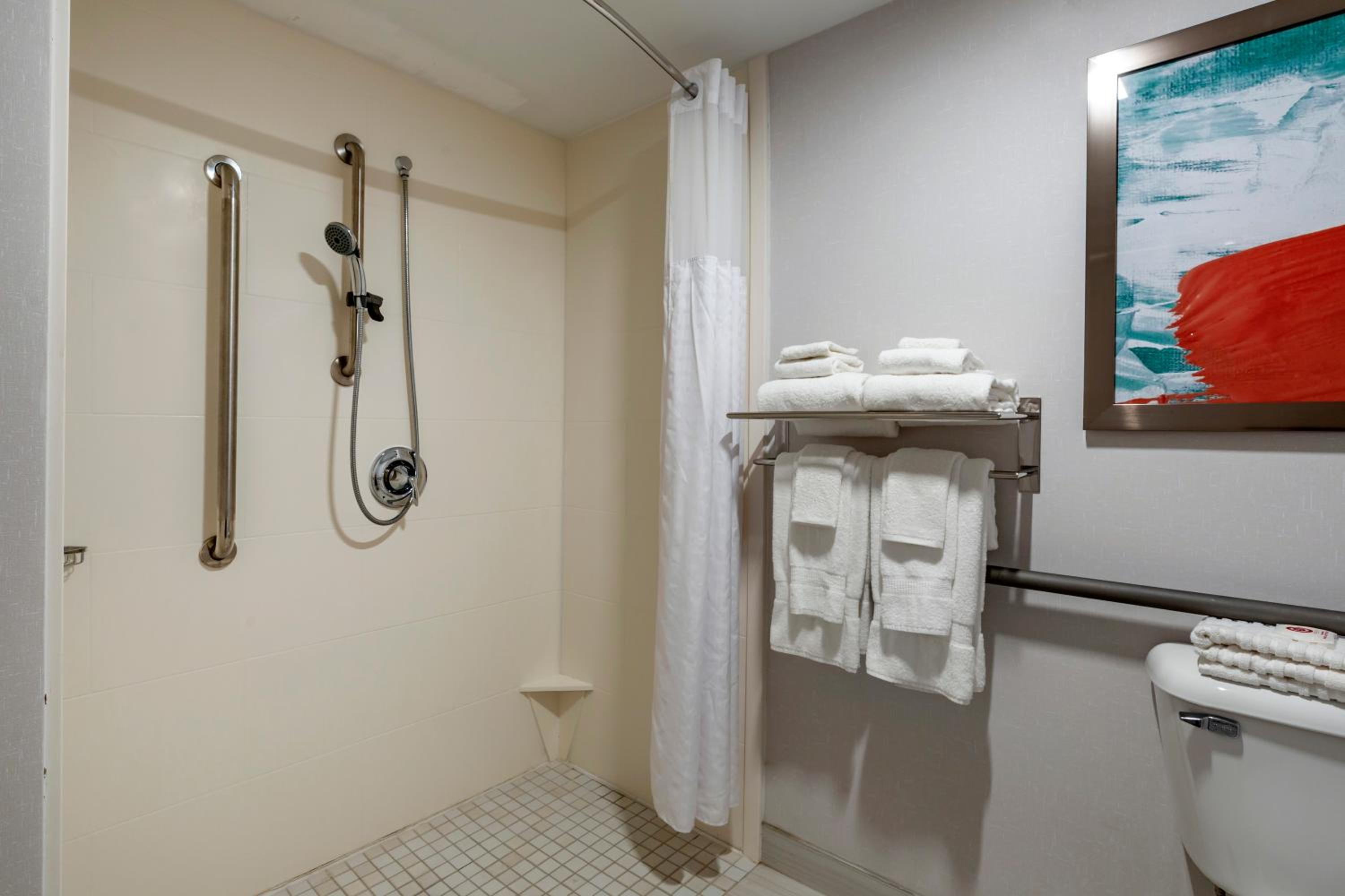 Accessible King Suite with Sofabed - Non Smoking - Photo 2