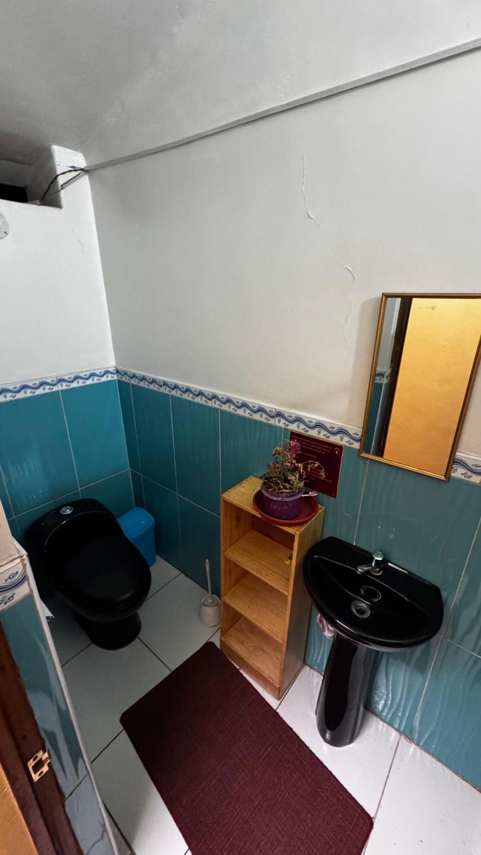Large Single Room photo 2
