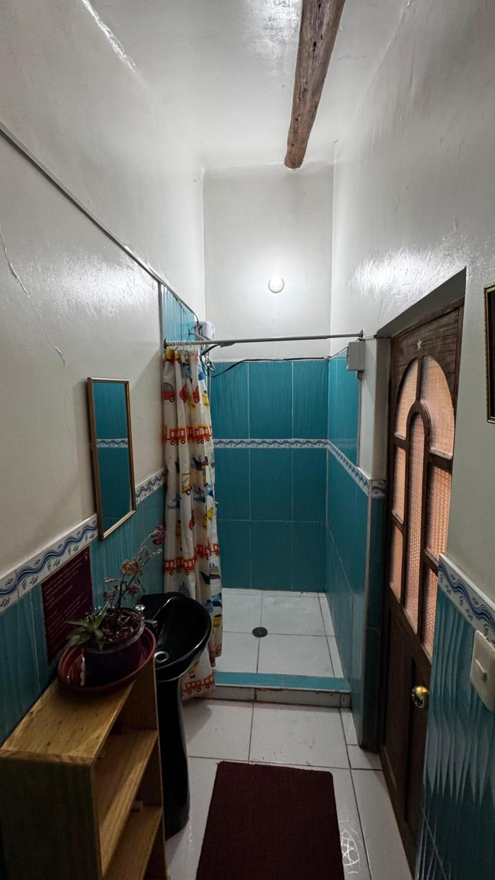 Large Single Room photo 3