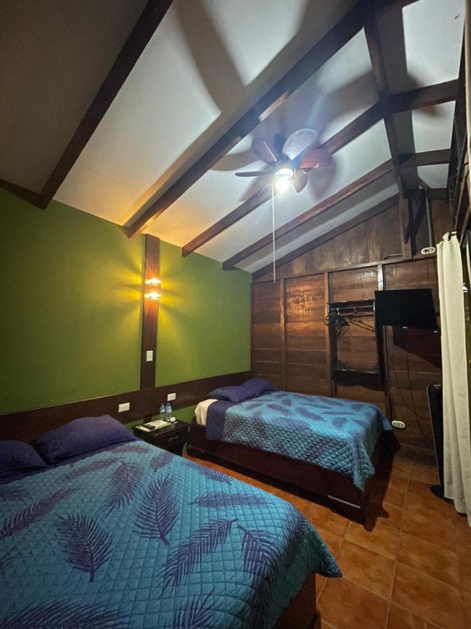Twin Room photo 3