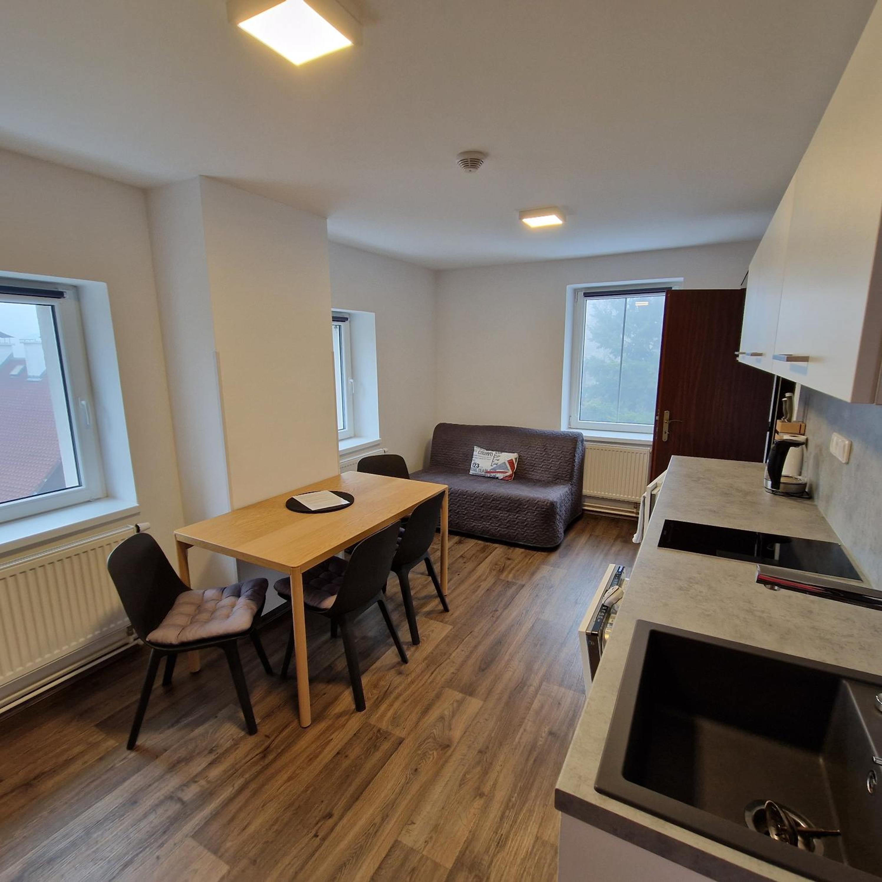 Standard Apartment photo 3