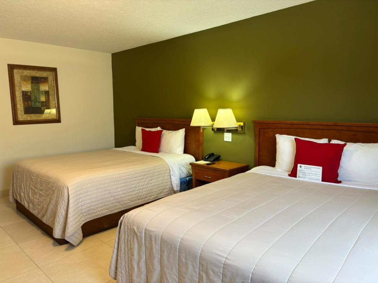 Large Double Room photo 2
