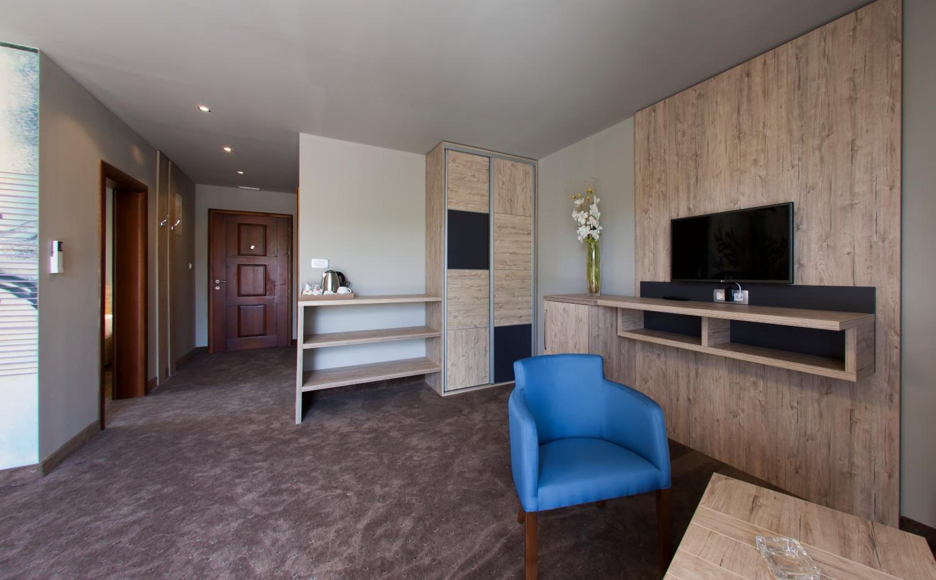 Deluxe One-Bedroom Apartment - Photo 9