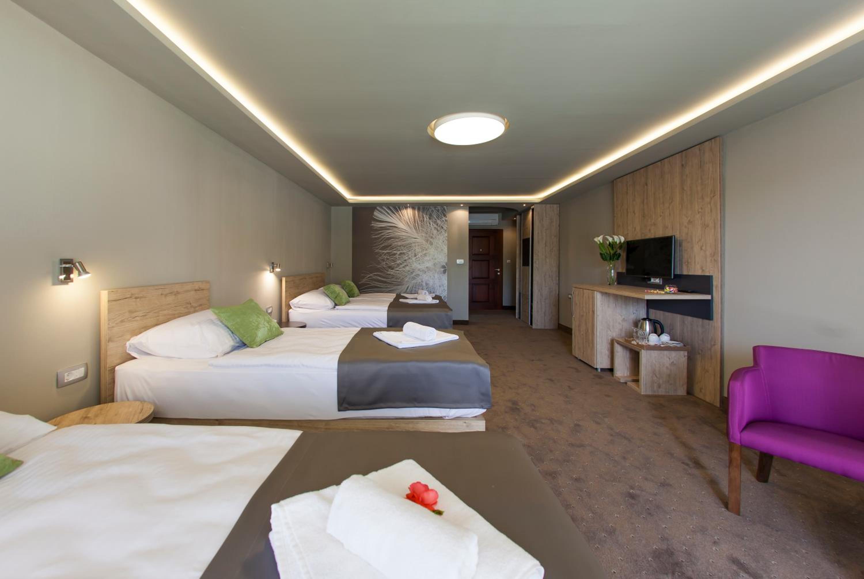 Luxury Apartment - Photo 1