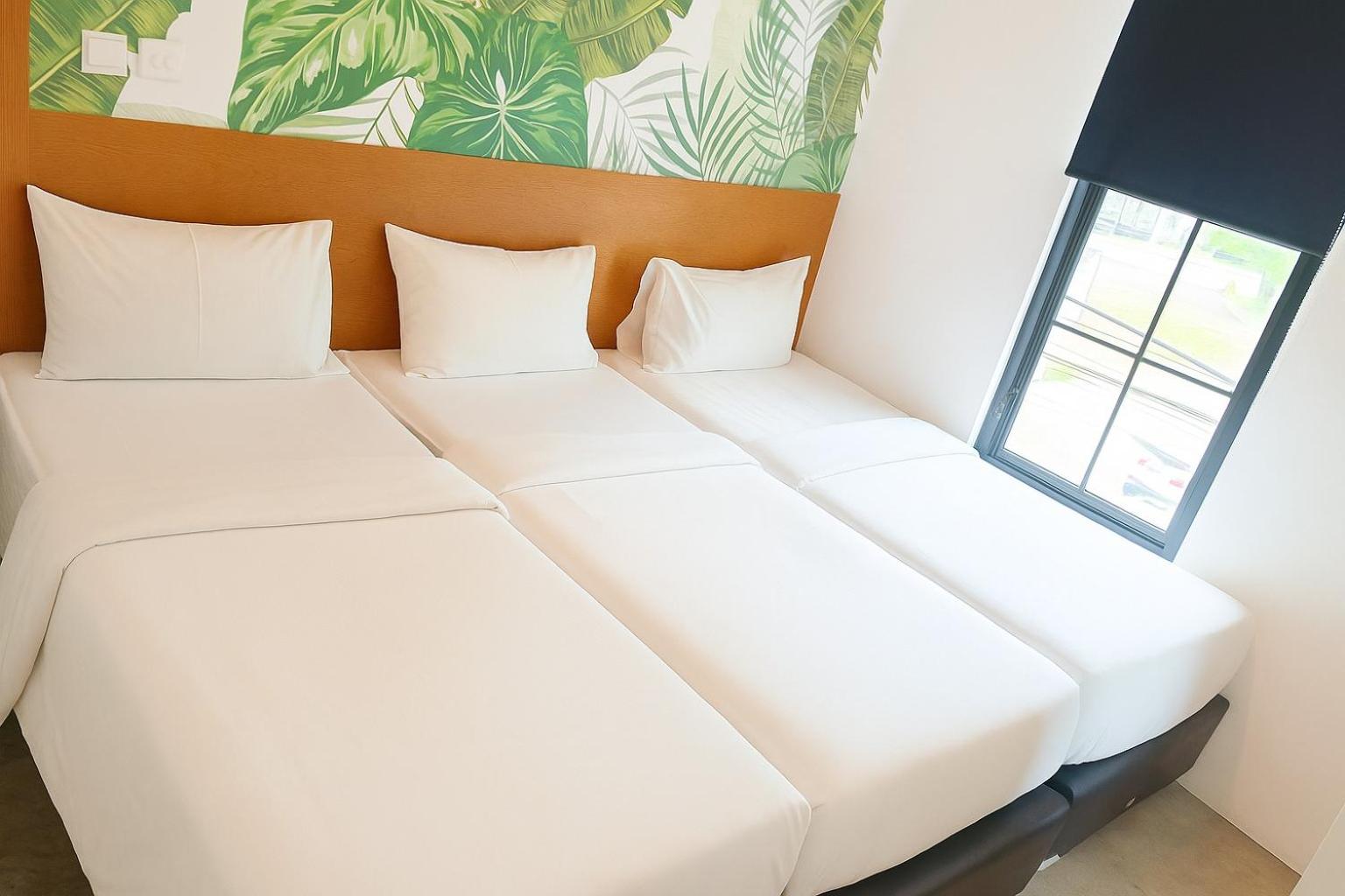 Superior Twin Room - Photo 1