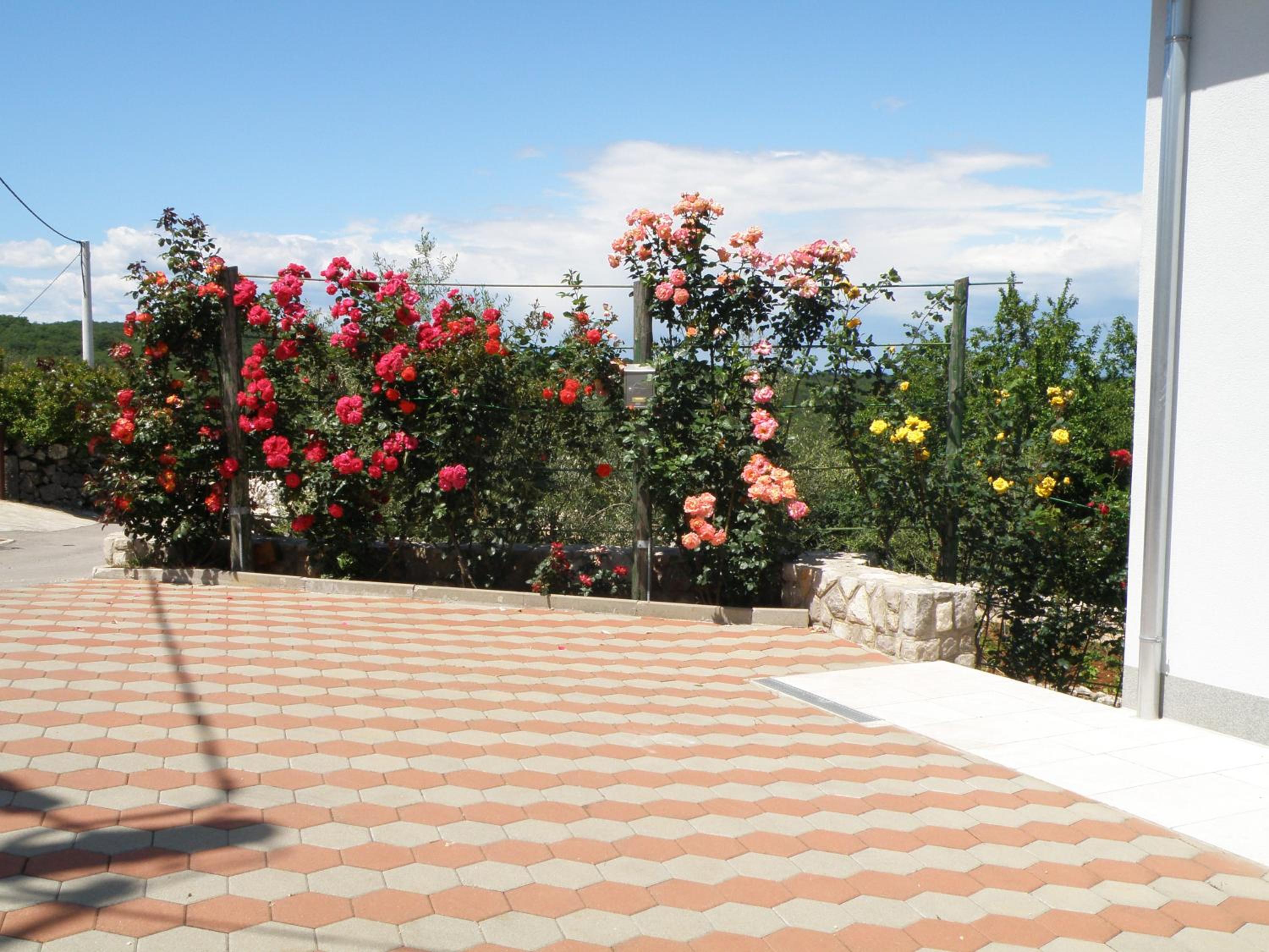 One-Bedroom Apartment with Terrace and Sea View photo 2