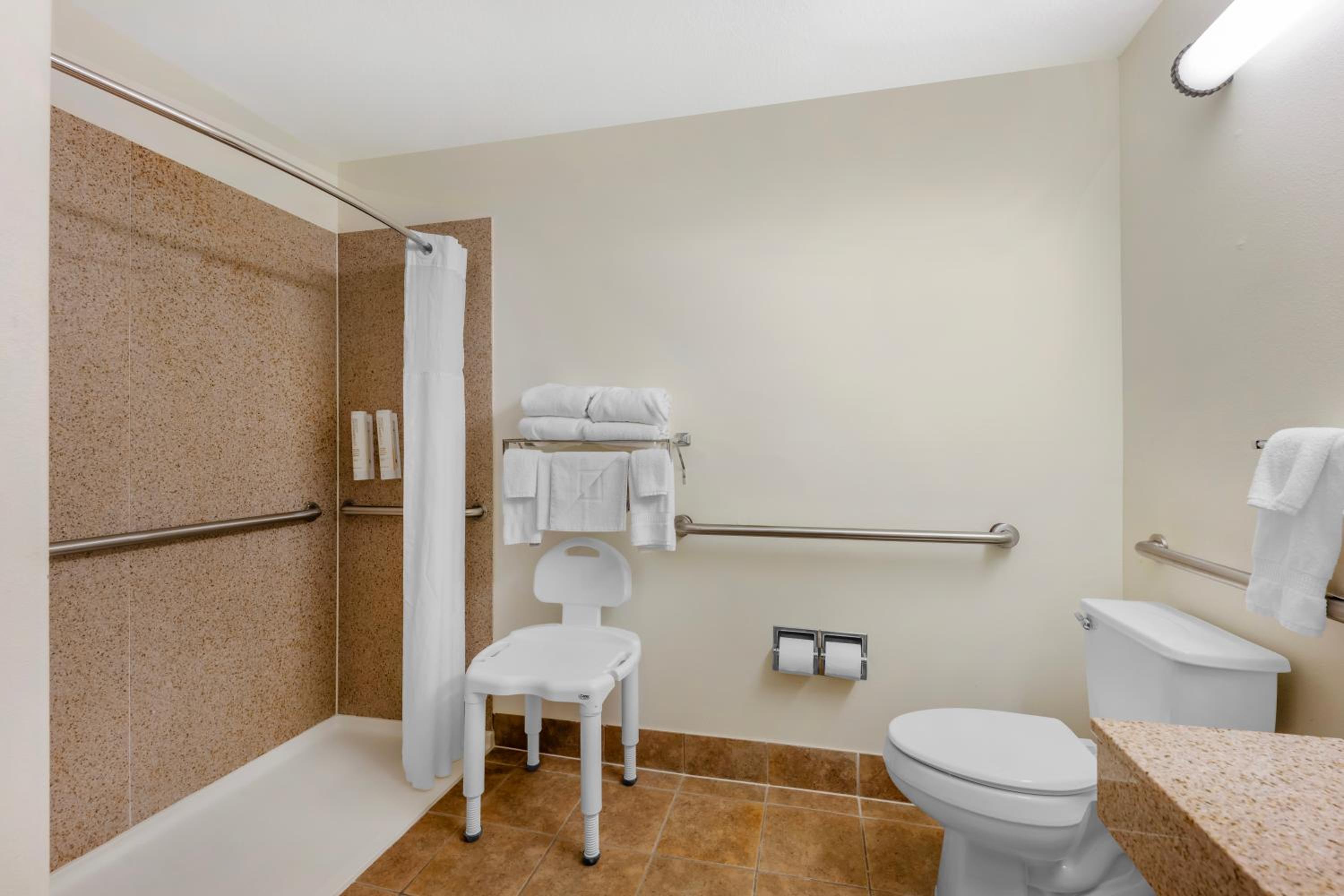 King Room with Roll-In Shower - Accessible/Non-Smoking - Photo 2