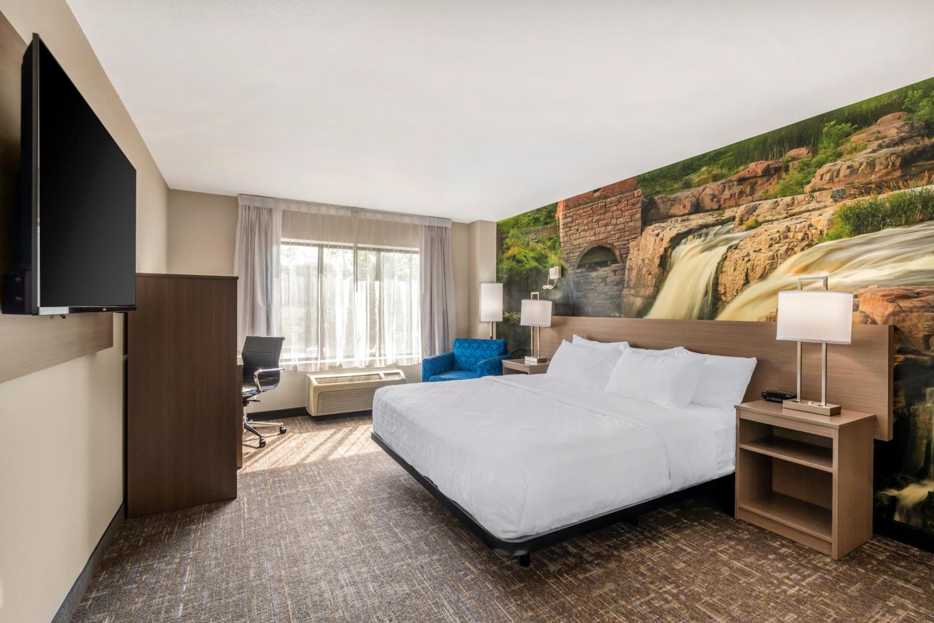 King Room with Roll-In Shower - Accessible/Non-Smoking - Photo 4