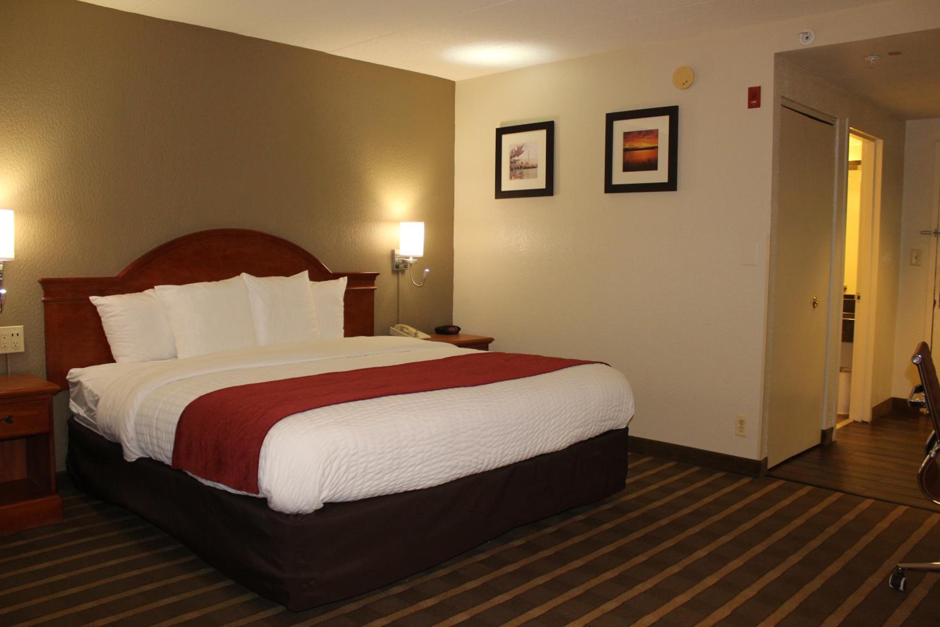 King Room - Non-Smoking photo 1