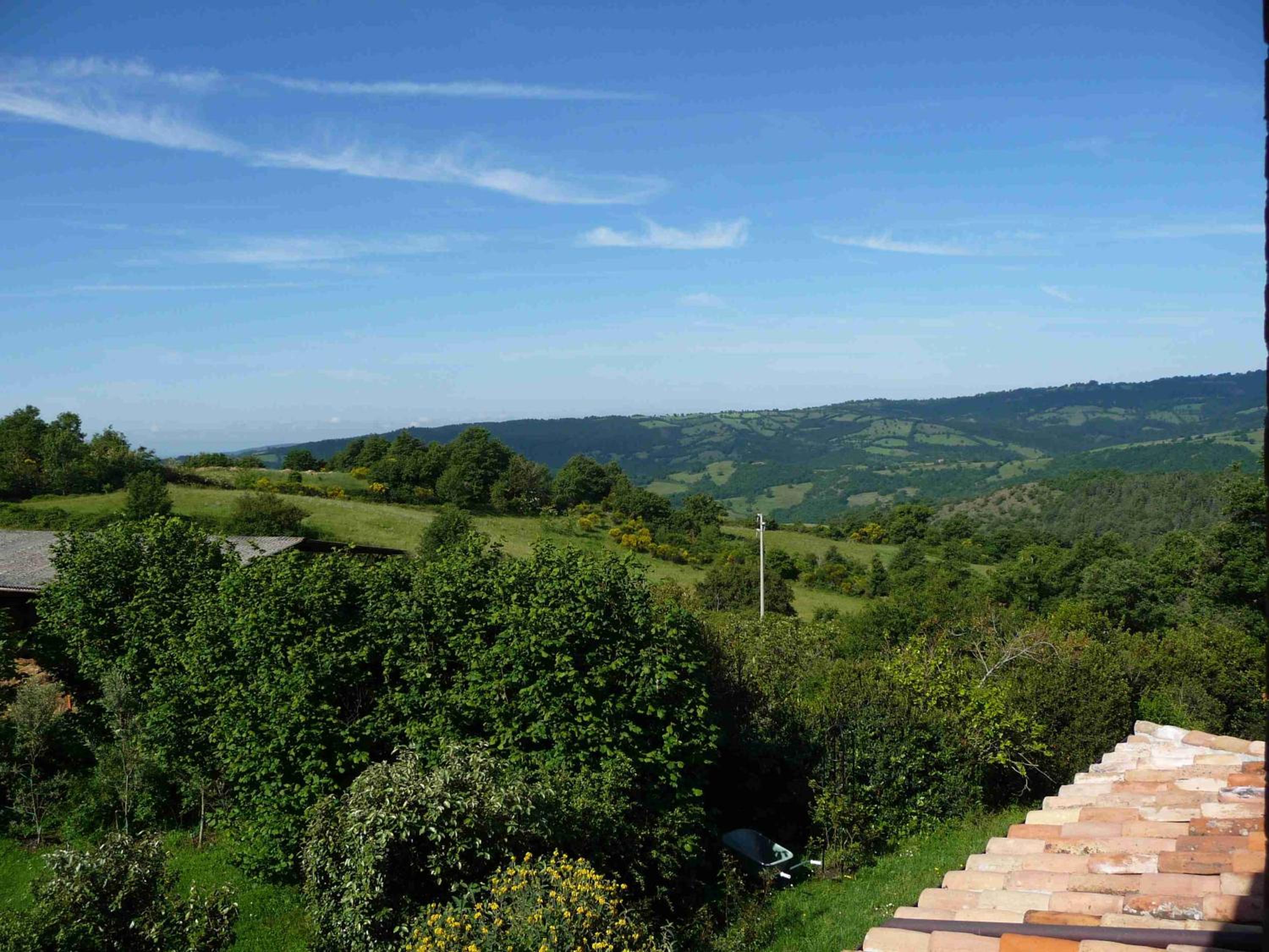 One-Bedroom Apartment with Terrace- Capitorio- photo 2