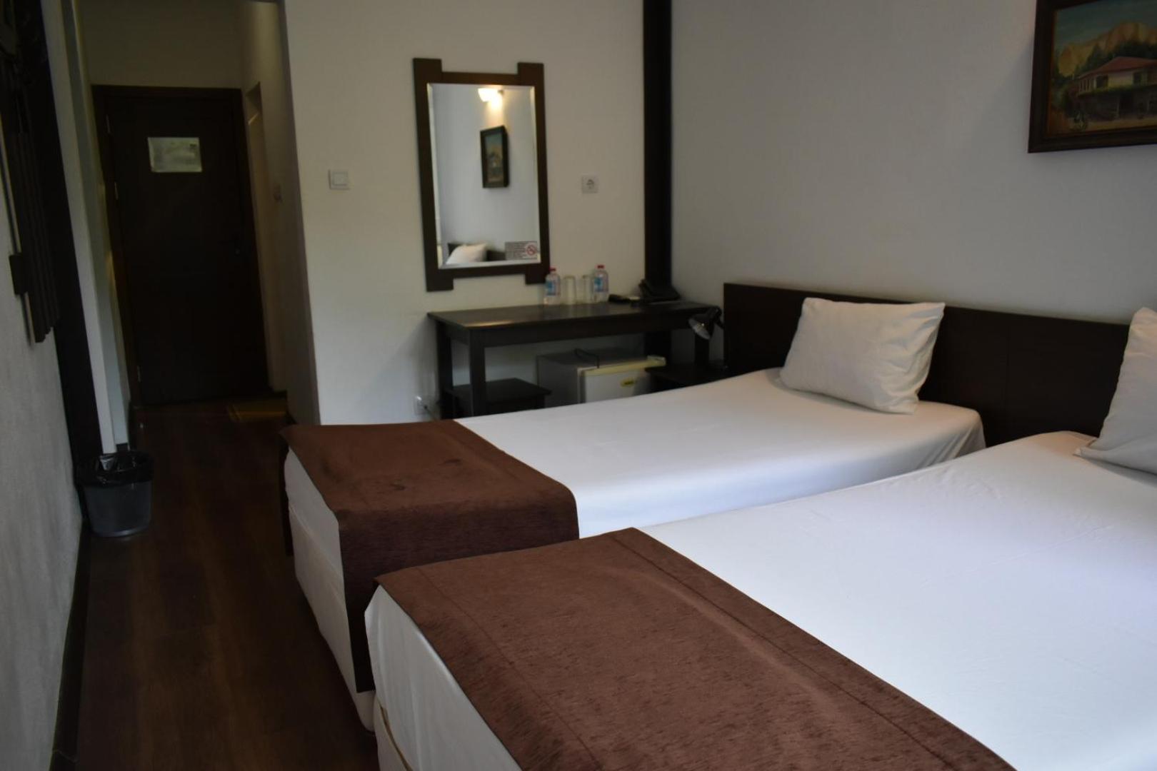 Double or Twin Room with Balcony photo 3