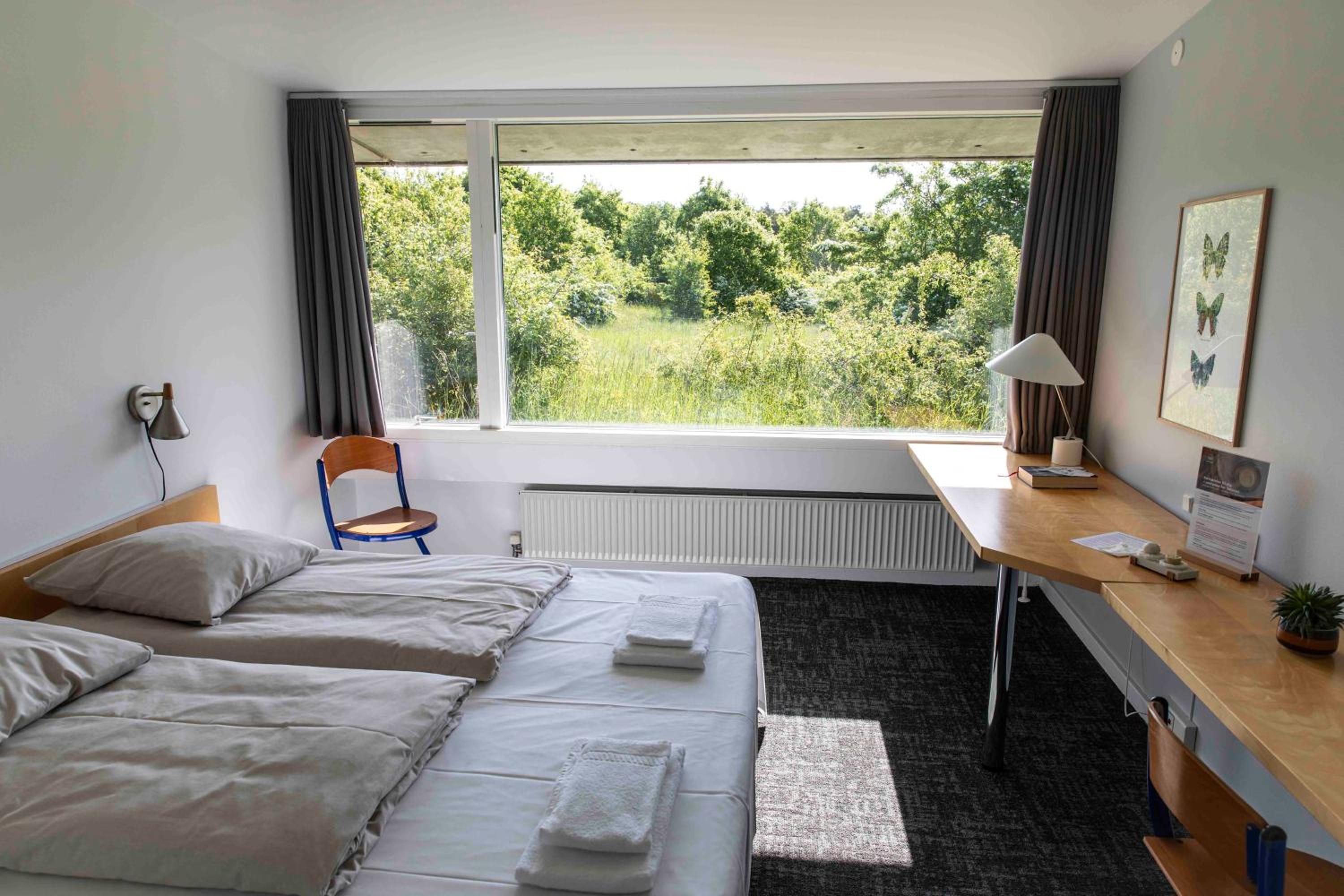 Deluxe Double Room photo 1
