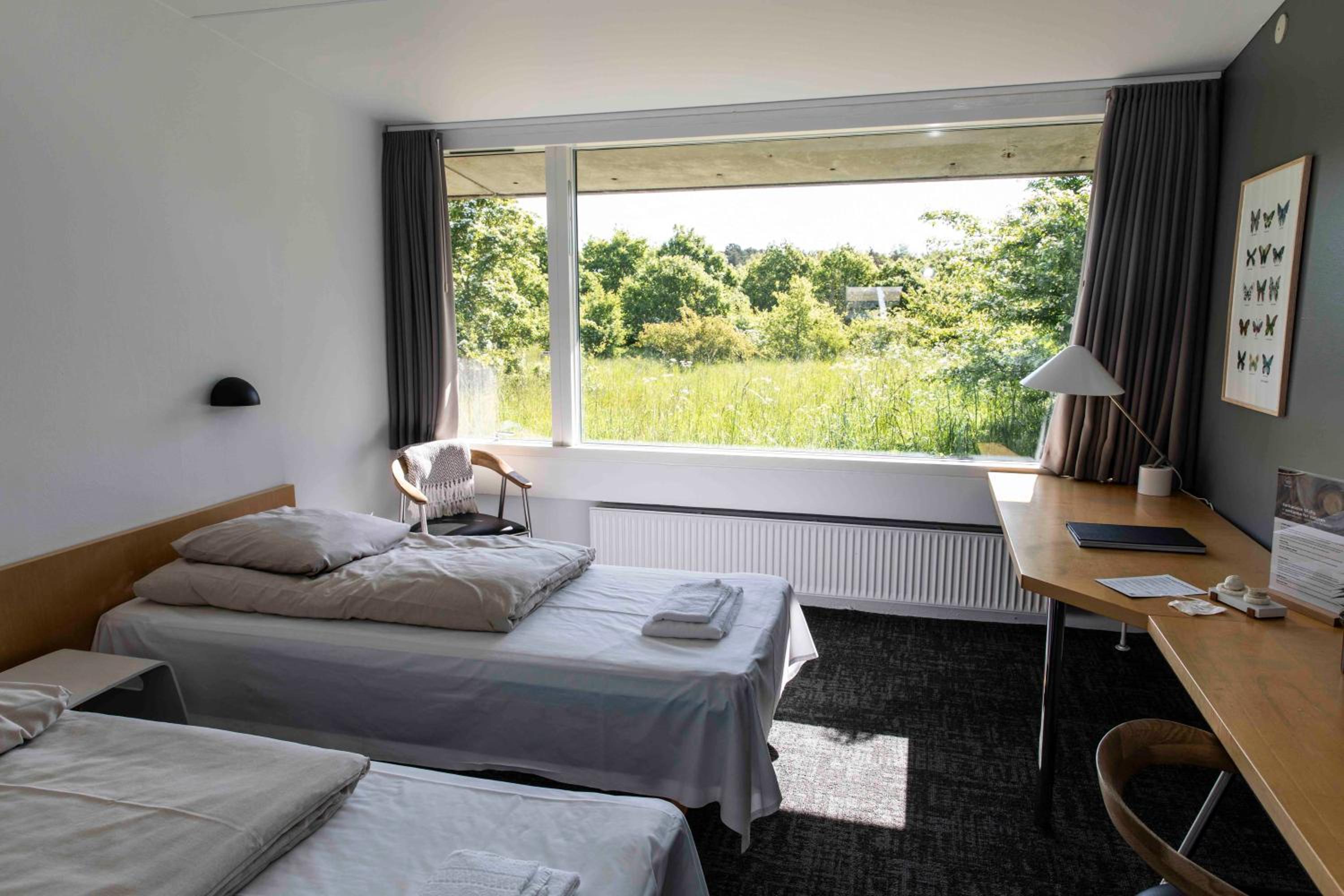 Double or Twin Room photo 3