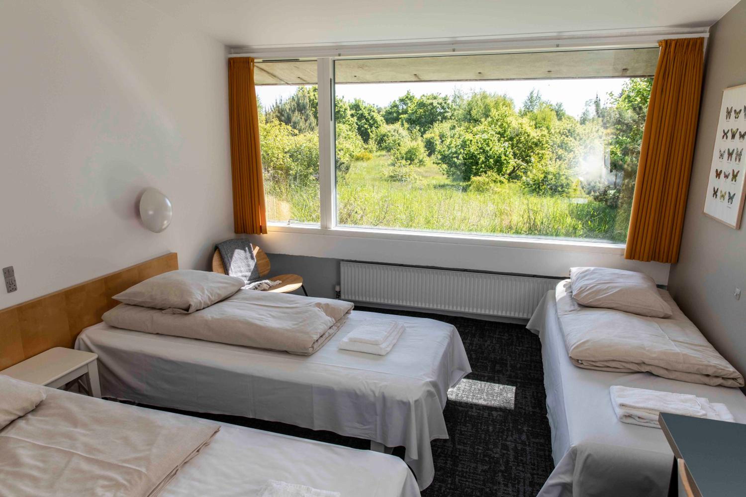 Triple Room photo 3