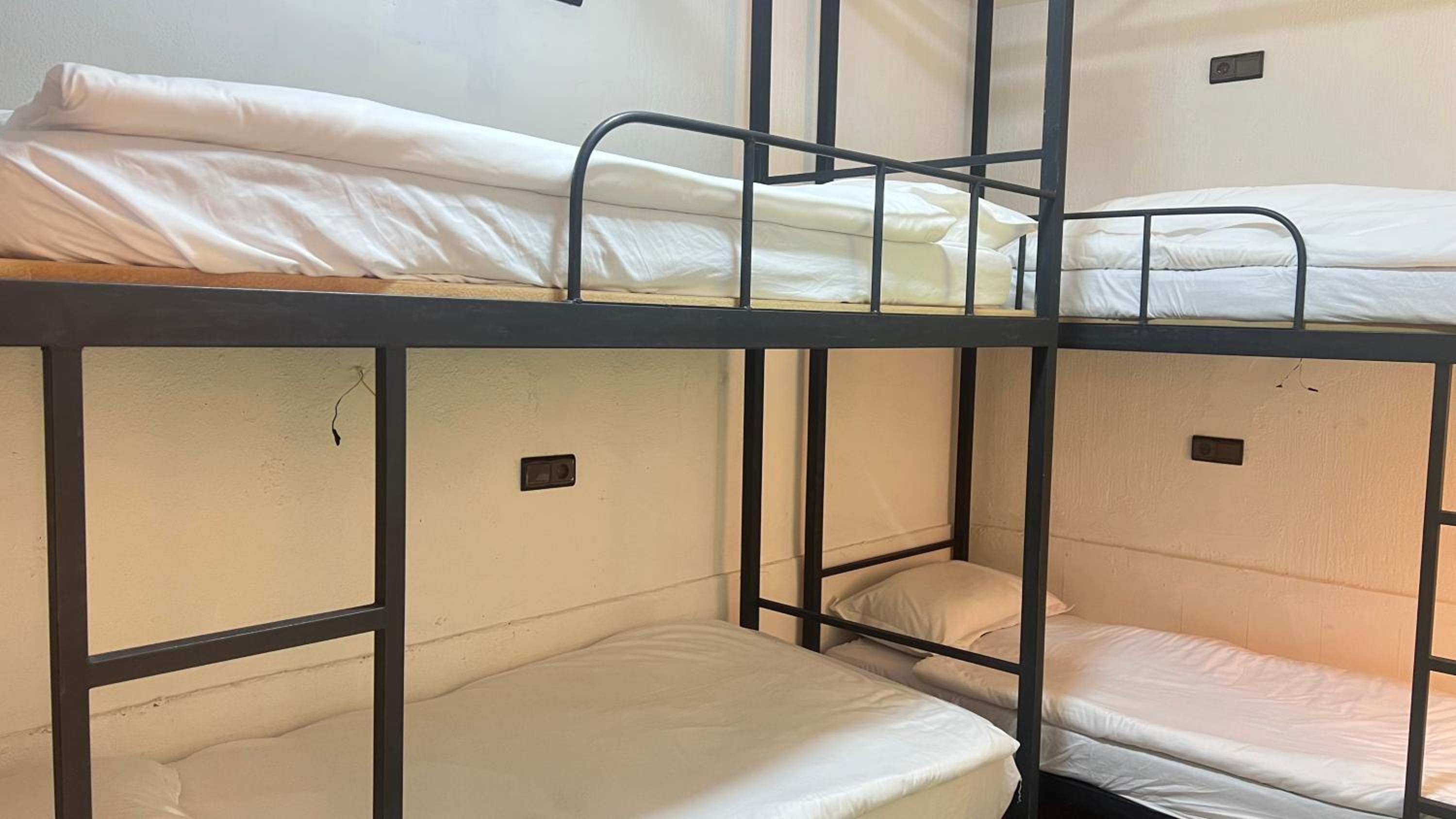 Single Bed in 6-Bed Dormitory Room photo 3
