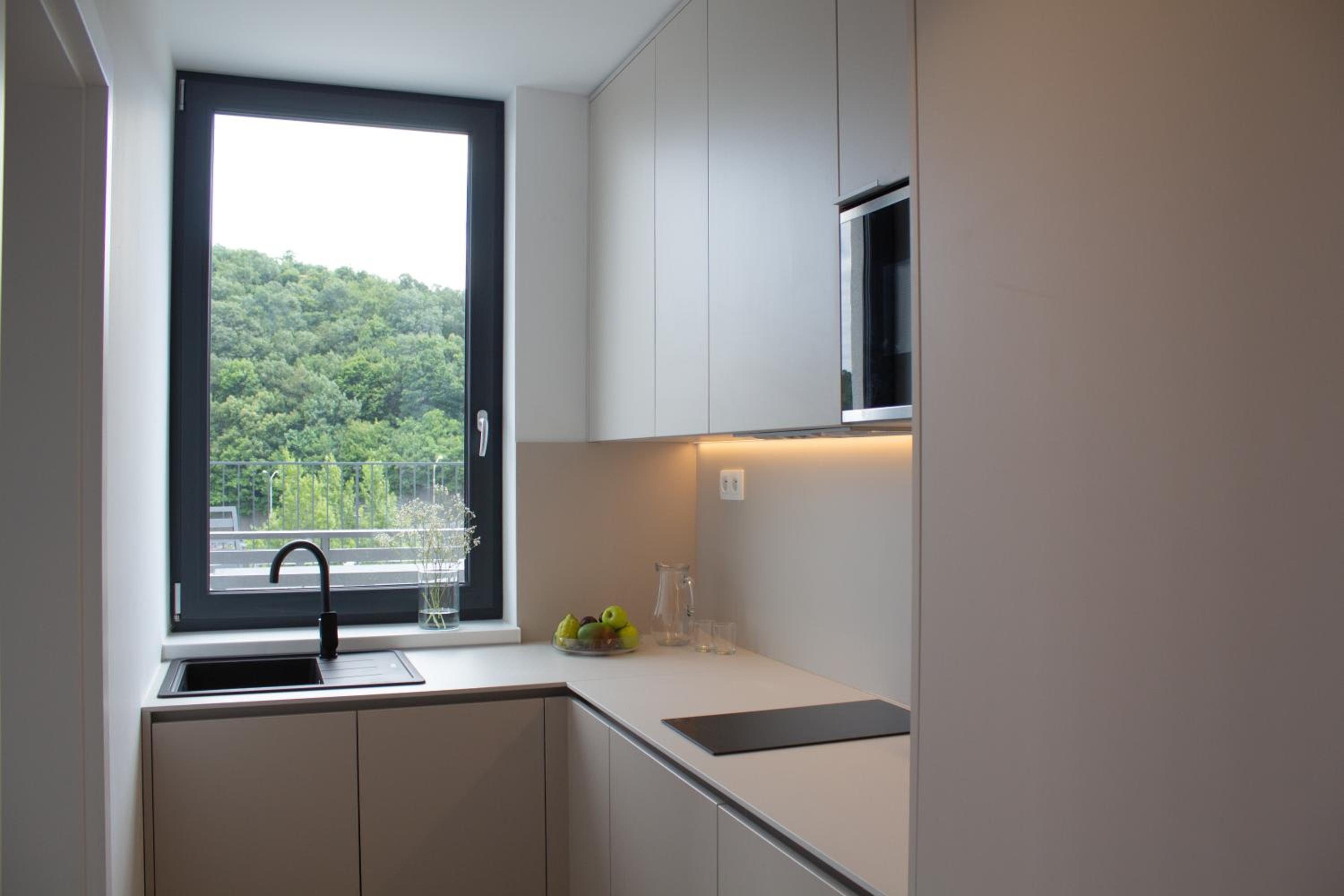 Apartment with Terrace photo 2