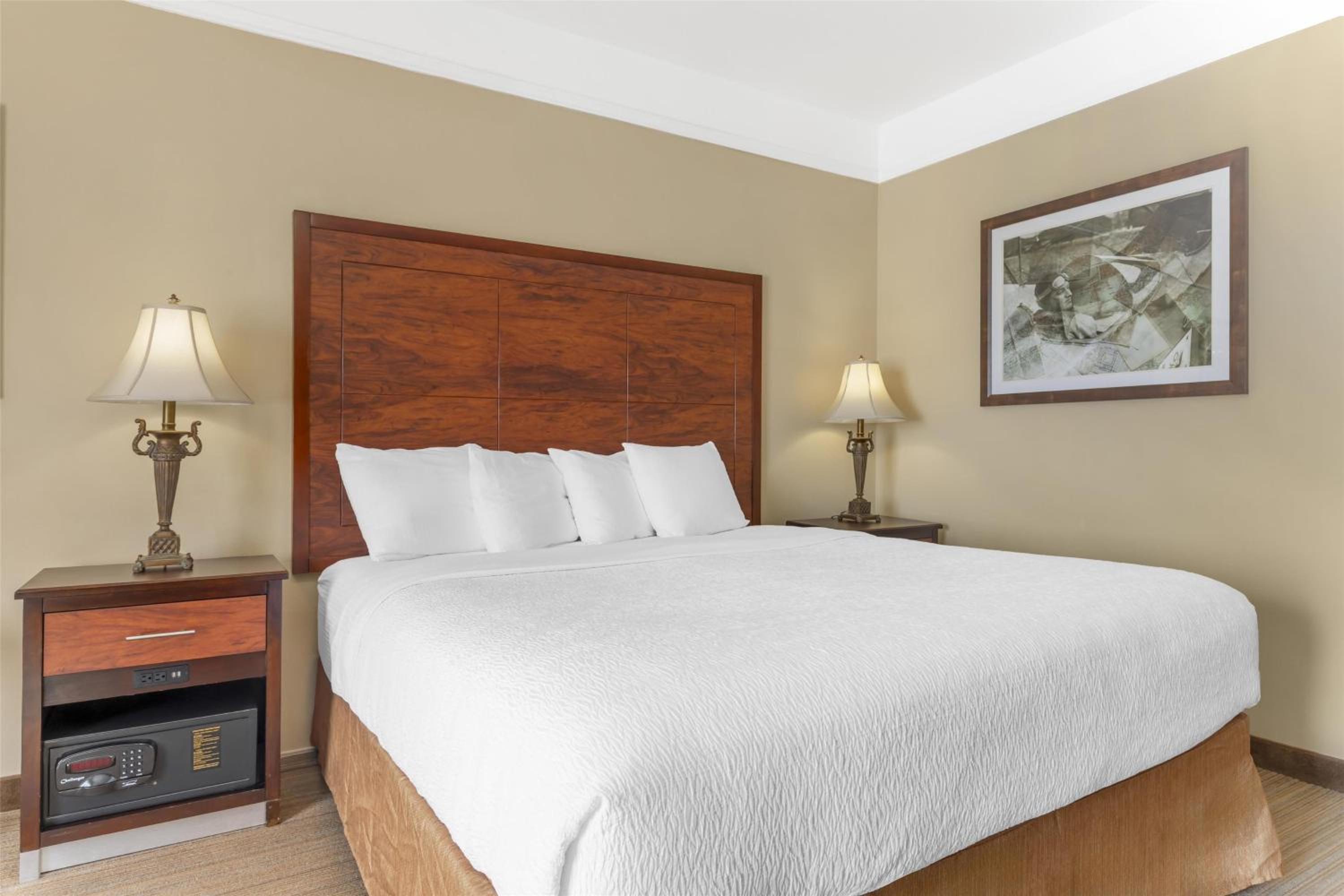 King Room with Bath Tub - Communication Assistance/Non-Smoking photo 3