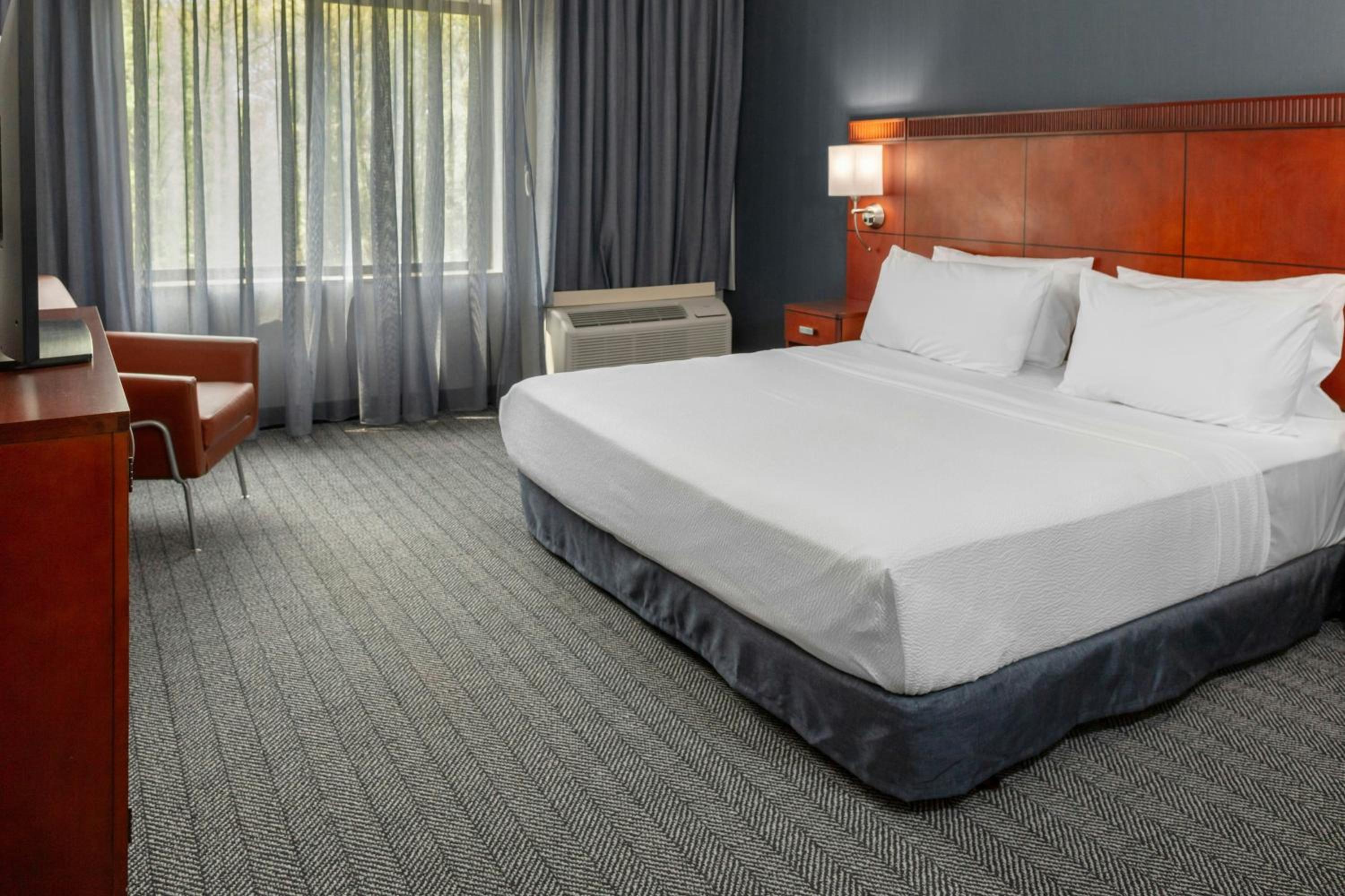 King Room with Sofa Bed - Hearing Accessible - Photo 2