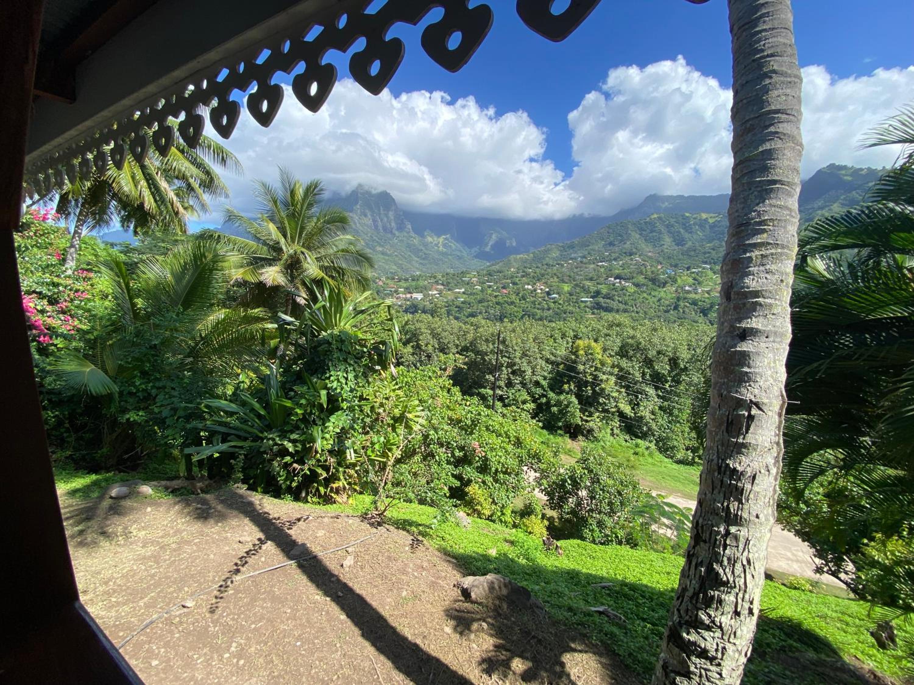 Vacation Home photo 2