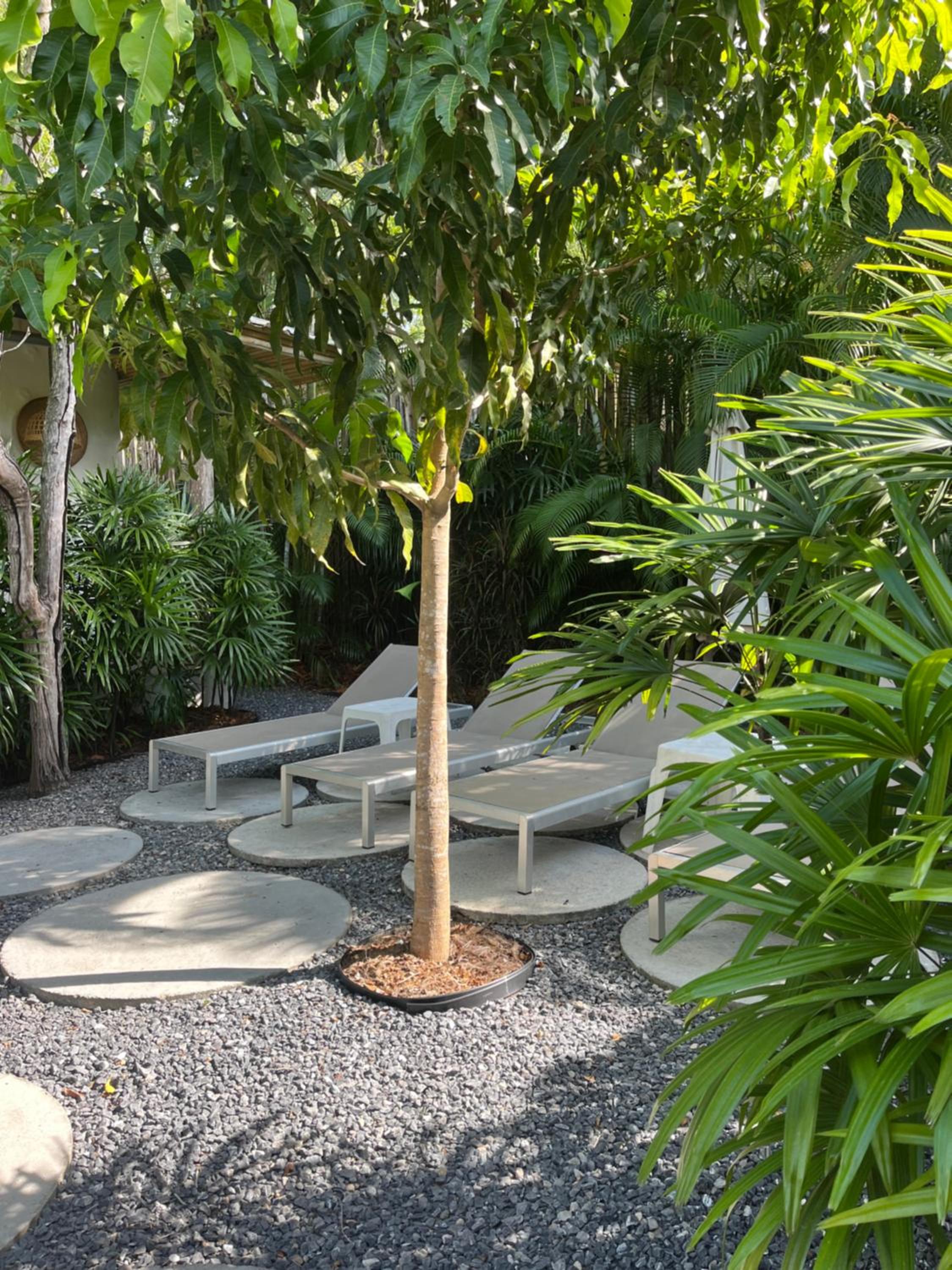 Villa with Private Pool photo 3