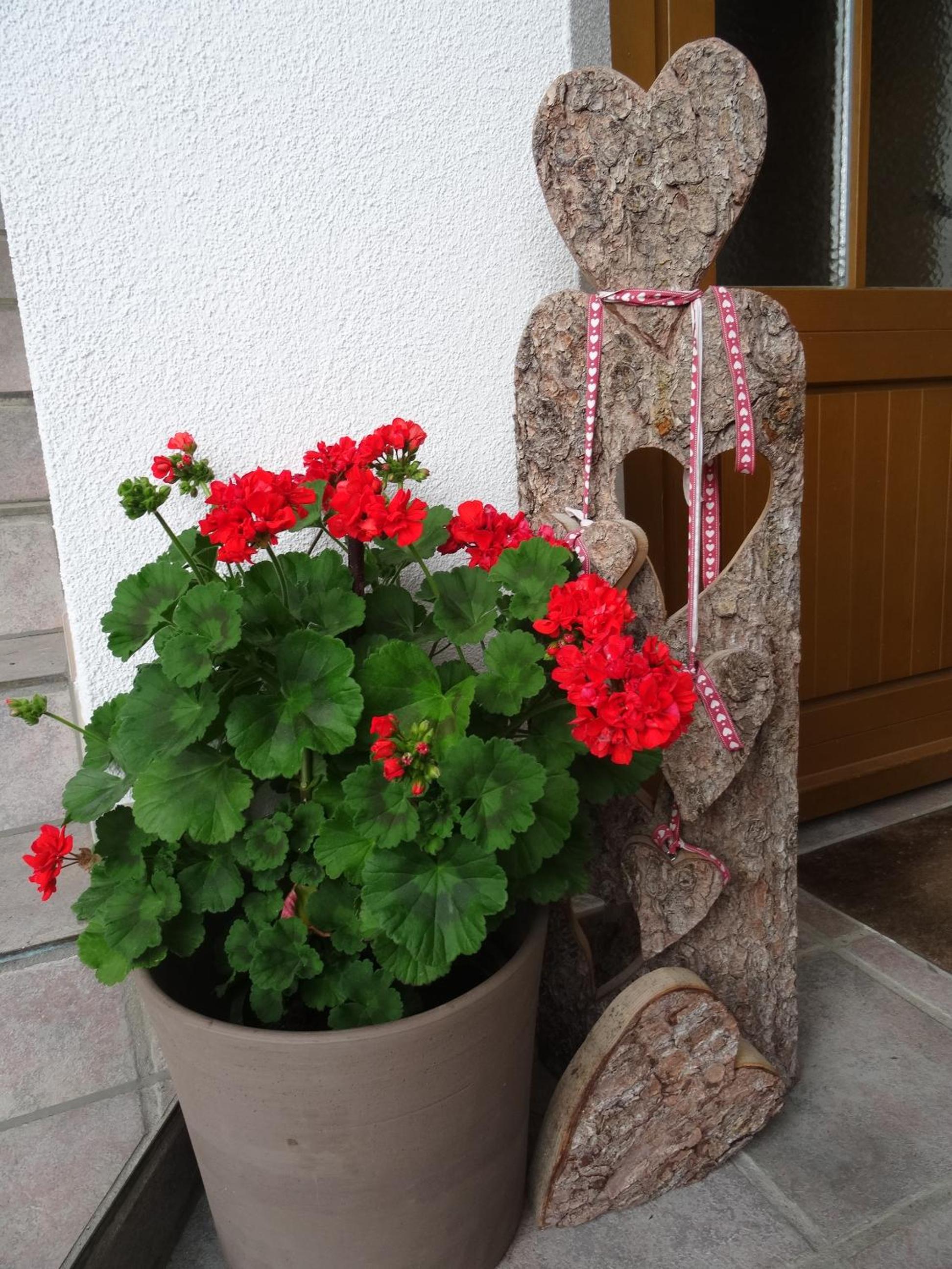 Apartment with Terrace photo 2