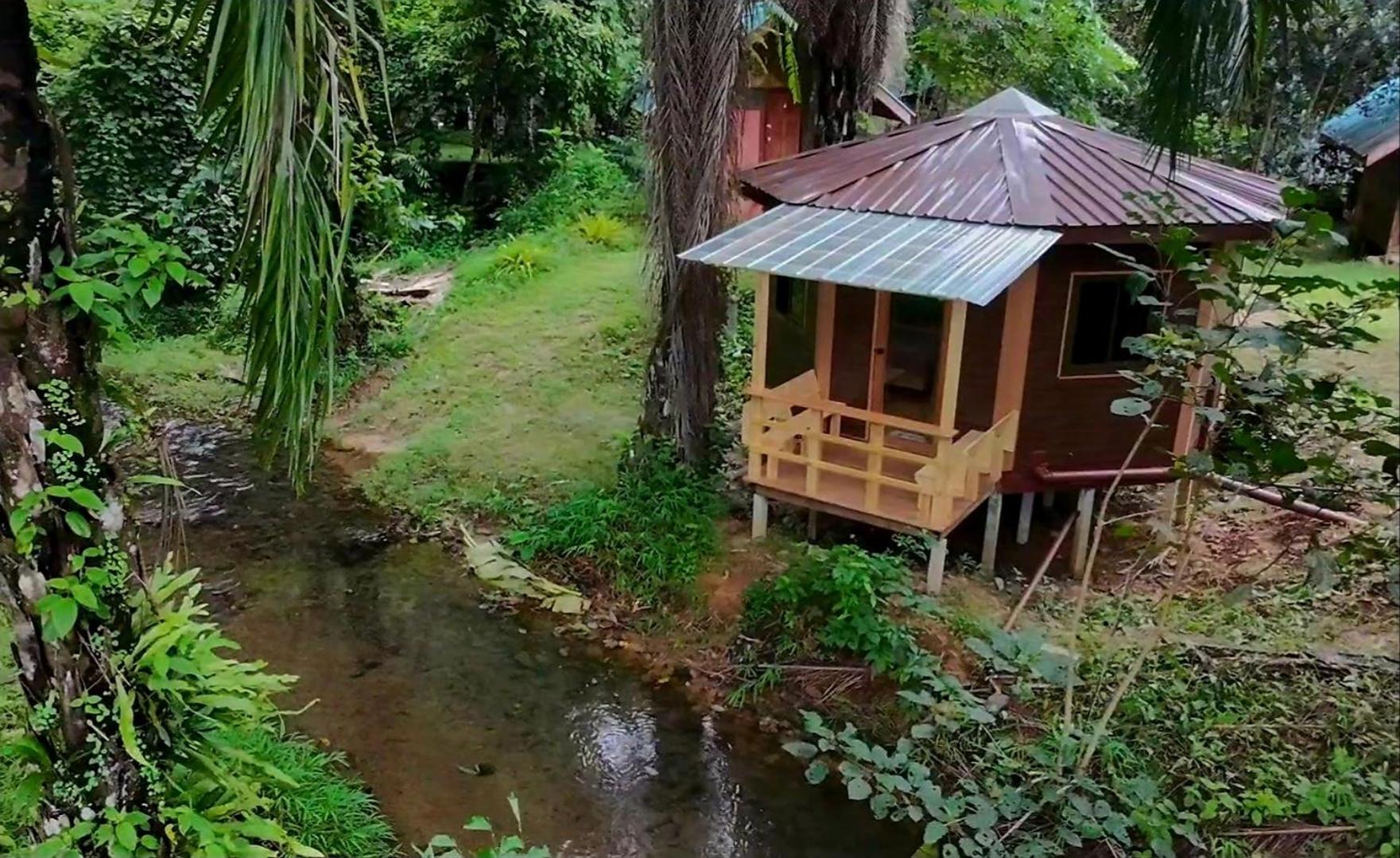 Deluxe Bungalow photo 3