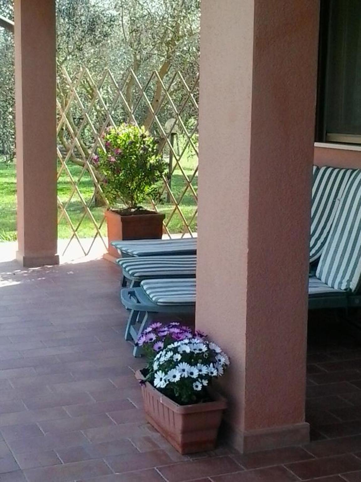 Apartment - Ground Floor photo 3