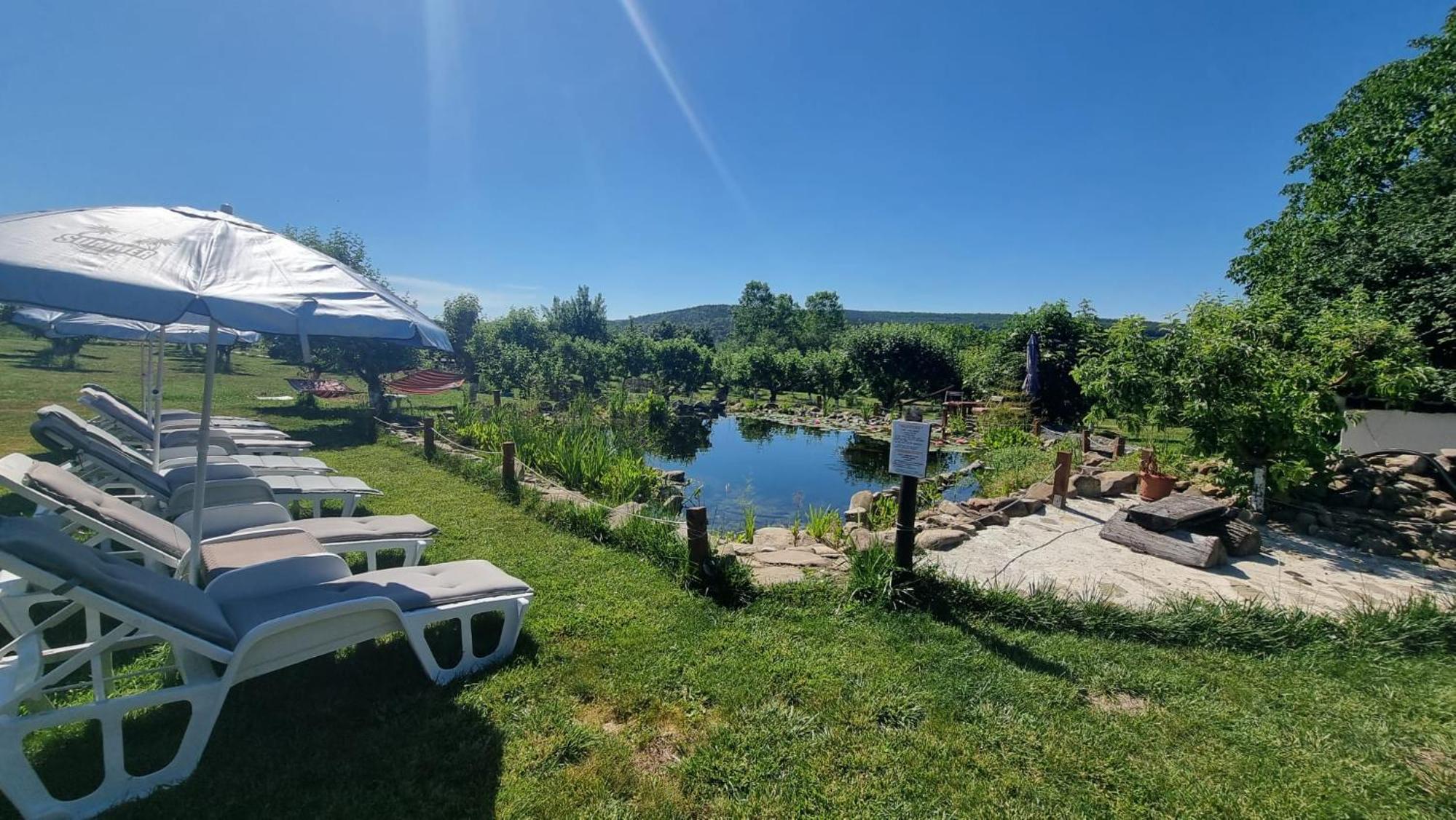 Villa with Garden View photo 3
