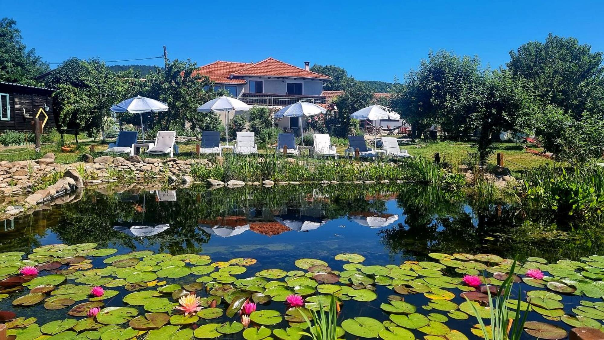 Superior Villa photo 3