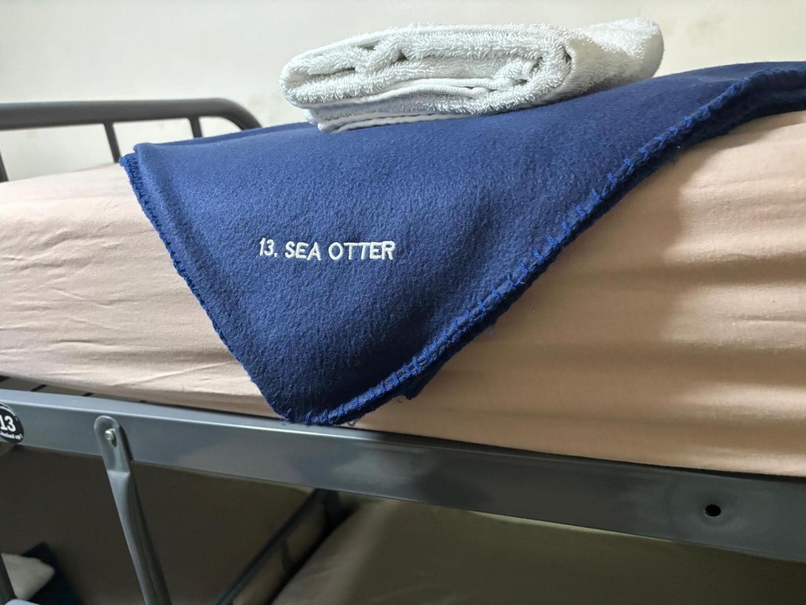 Single Bed in Dormitory Room