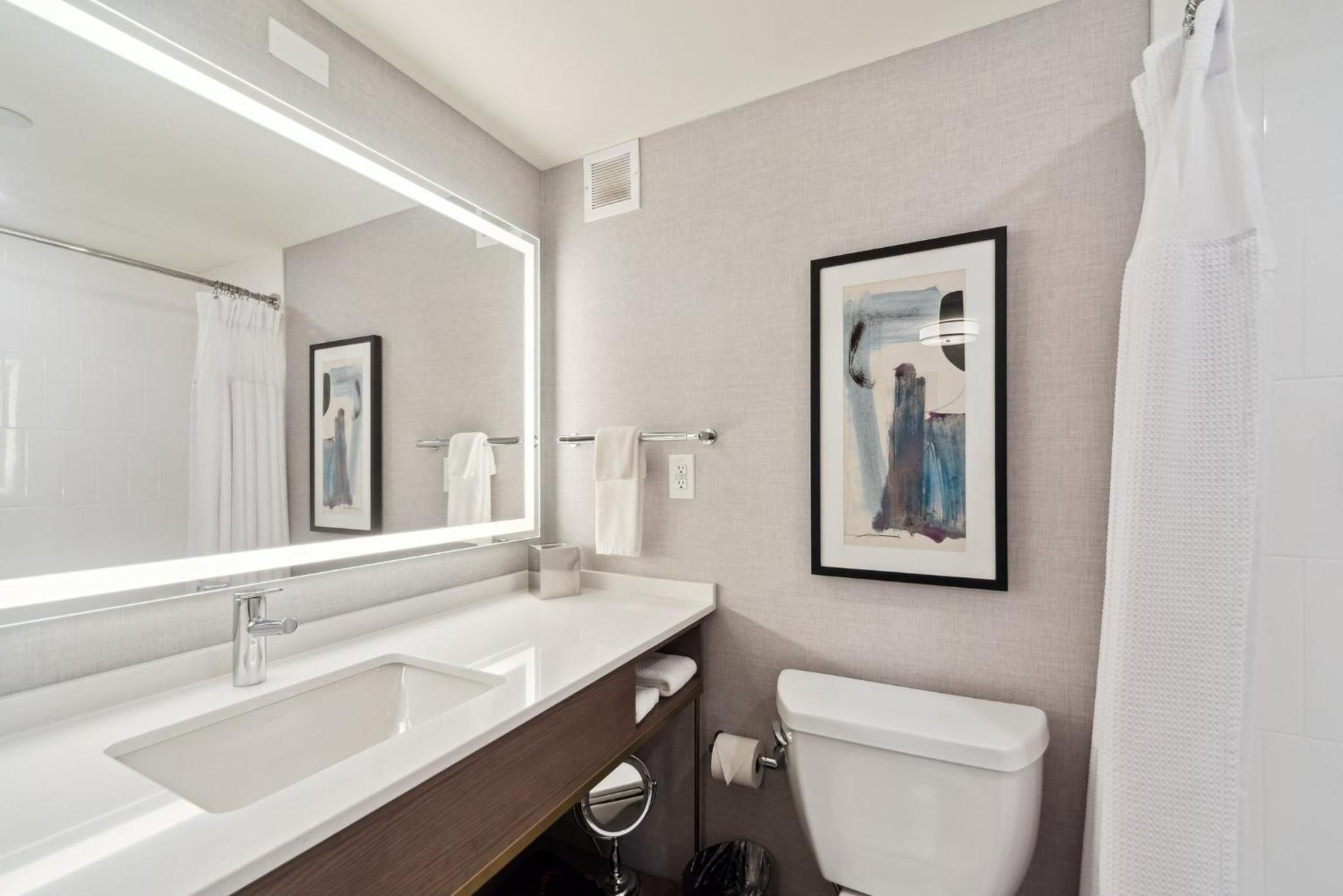 Standard King Room with Bath and Shower Combination photo 1