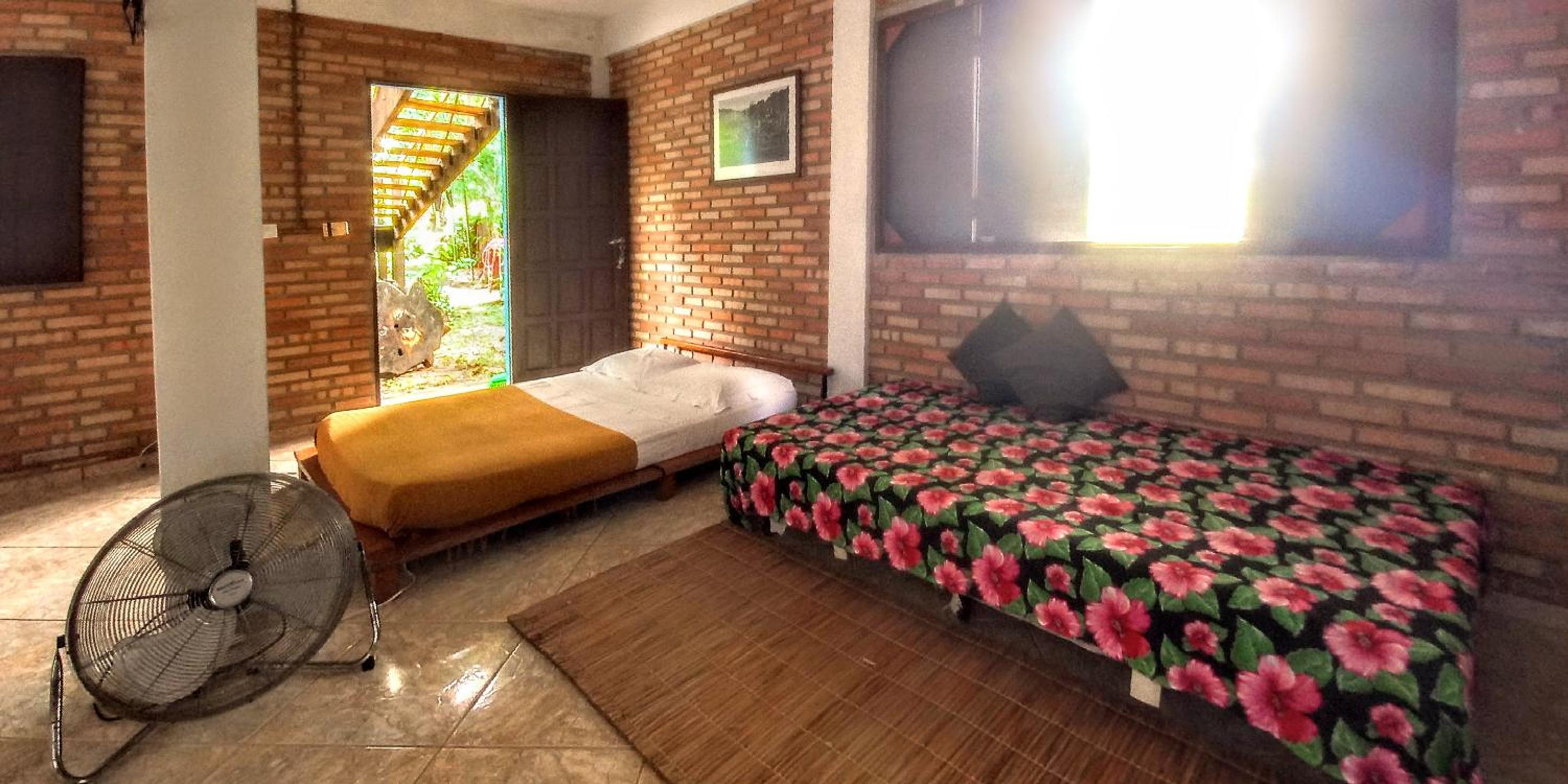 Single Bed in Female Dormitory Room photo 3