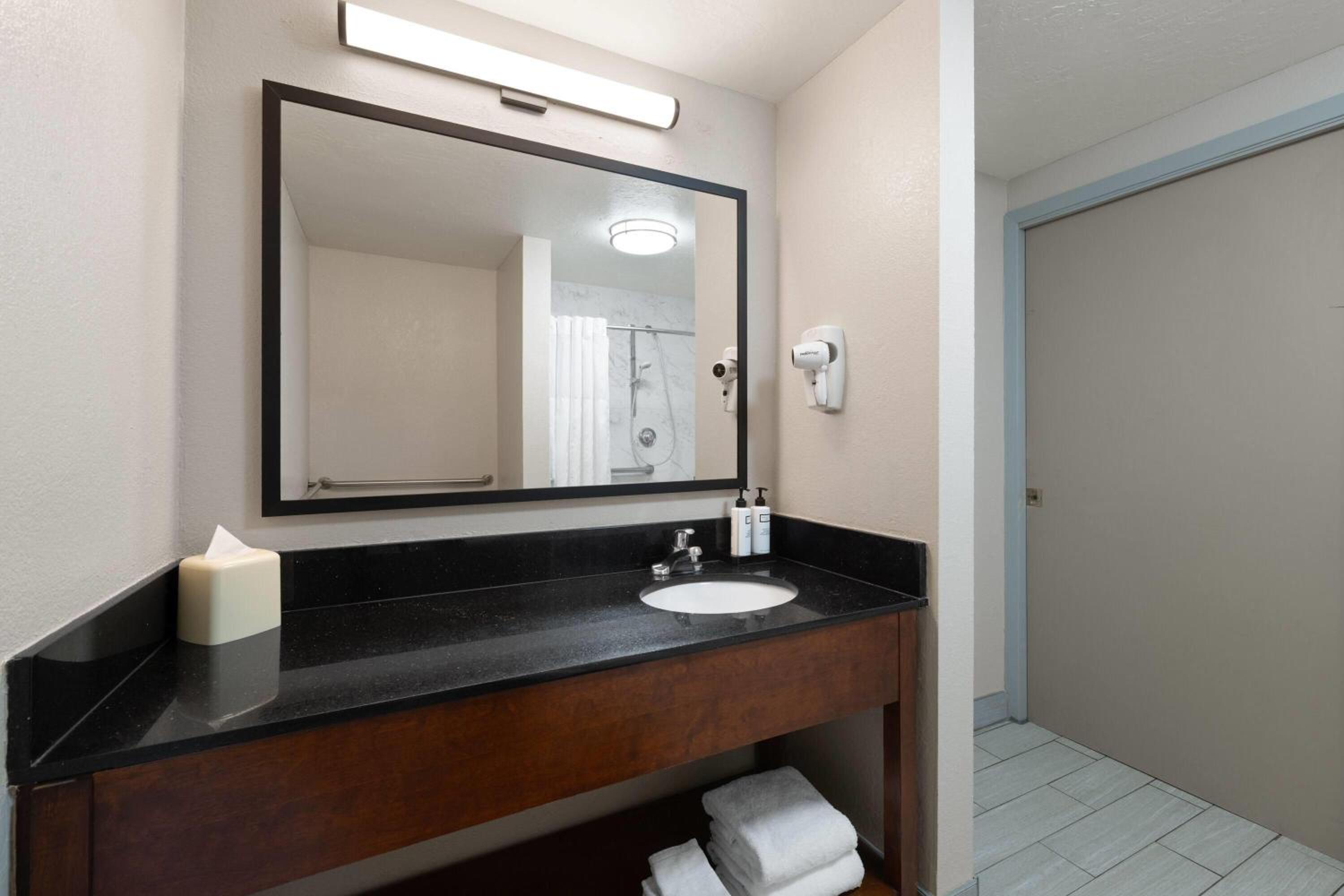King One-Bedroom Suite with  Mobility/Hearing Access and Roll-In Shower, No Smoking - Photo 3