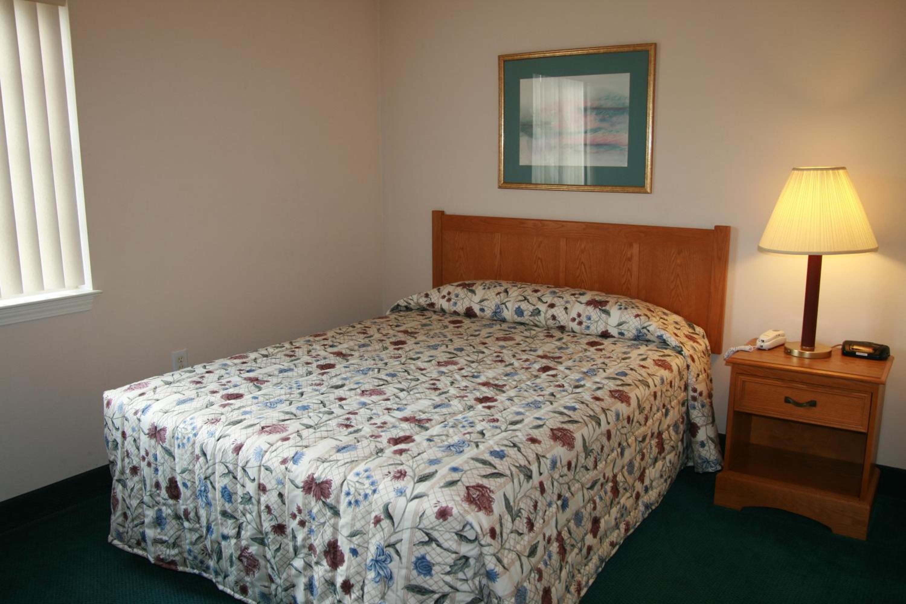 One-Bedroom Suite - Photo 10