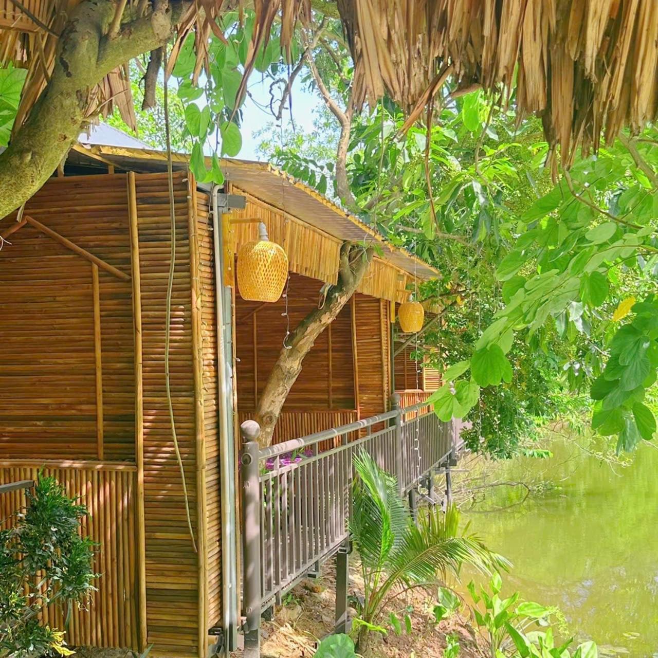 Deluxe Bungalow photo 3