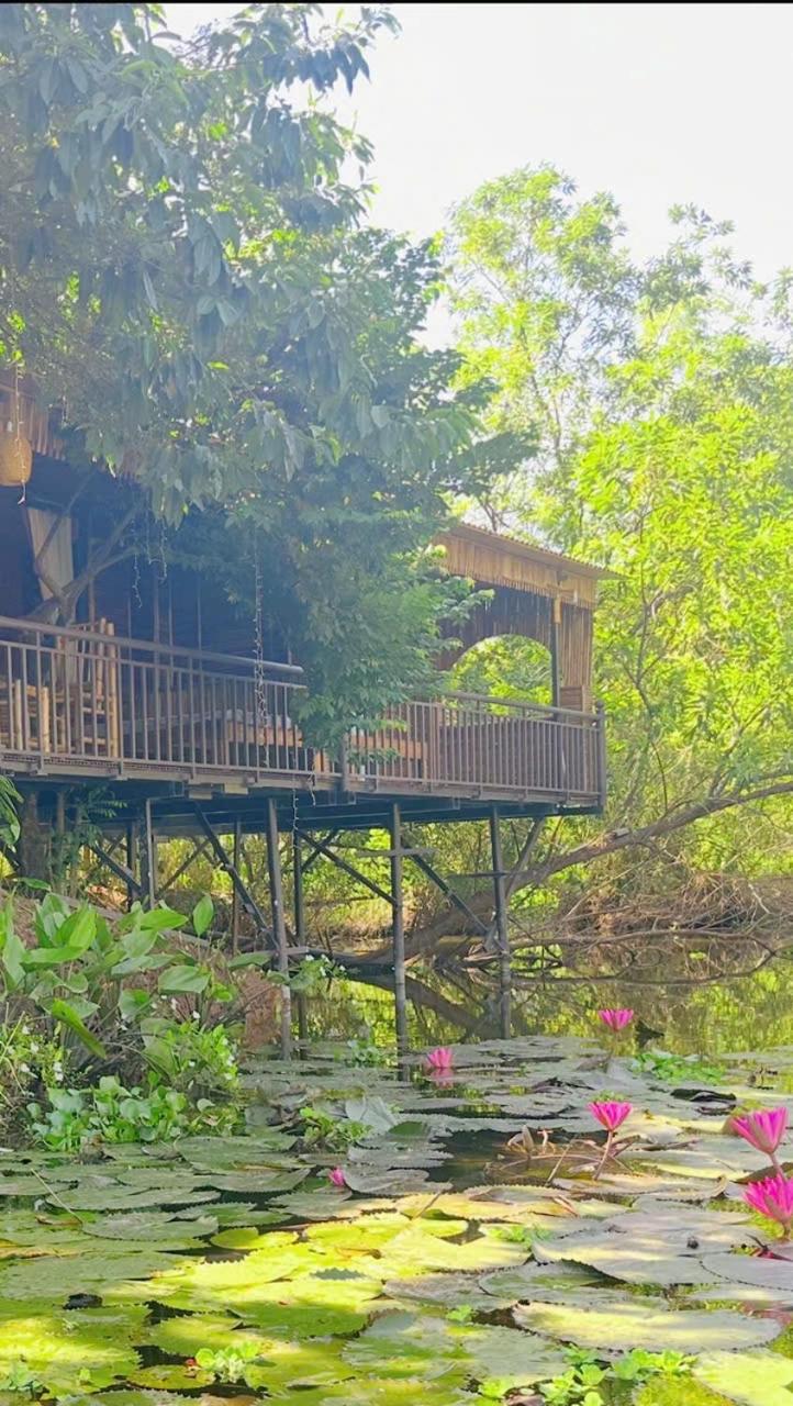 Deluxe Bungalow