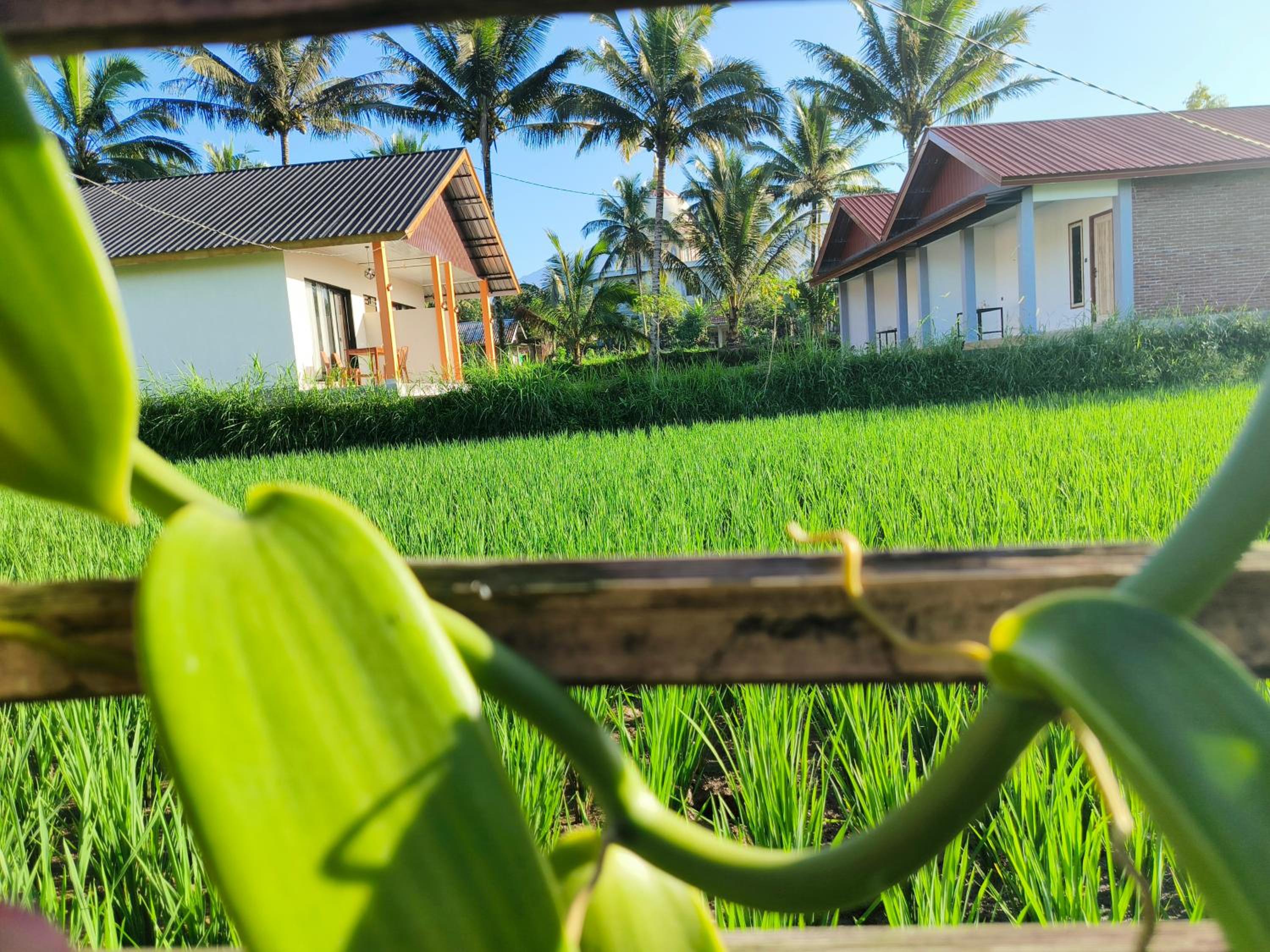 Vacation Home photo 3
