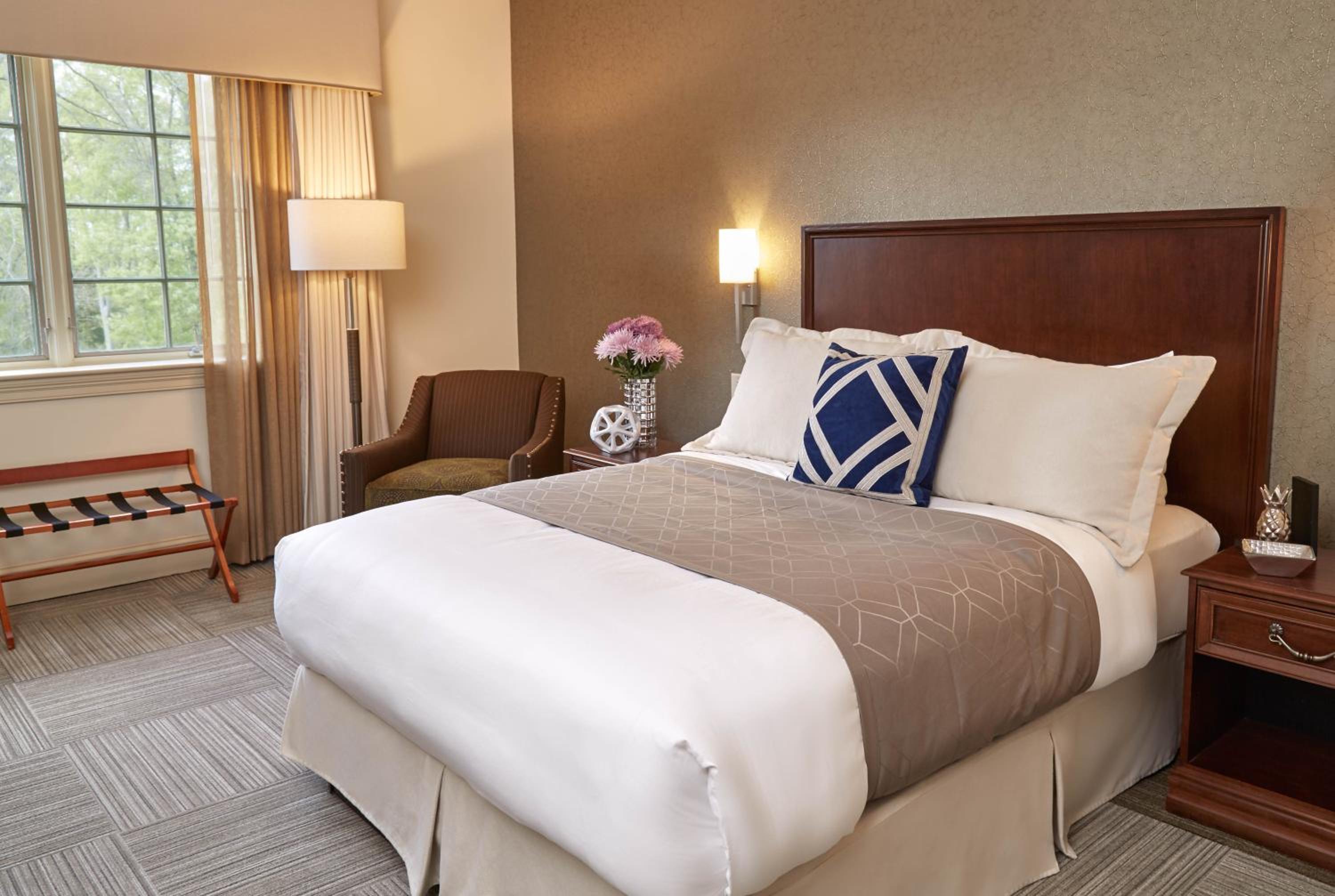 Queen Room - Photo 1