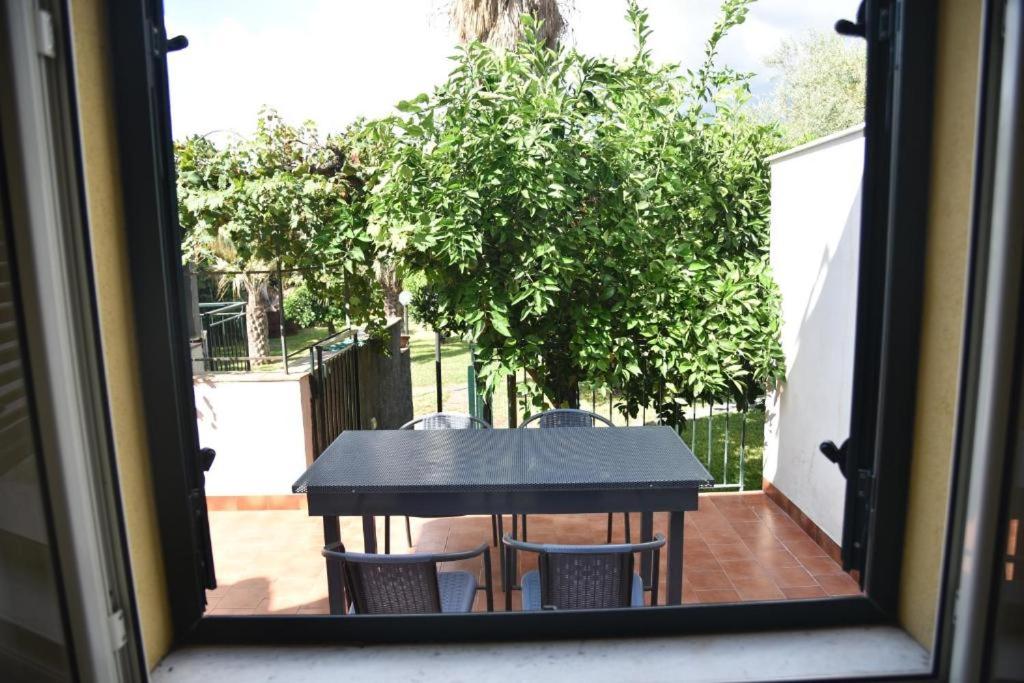 Standard Apartment photo 1
