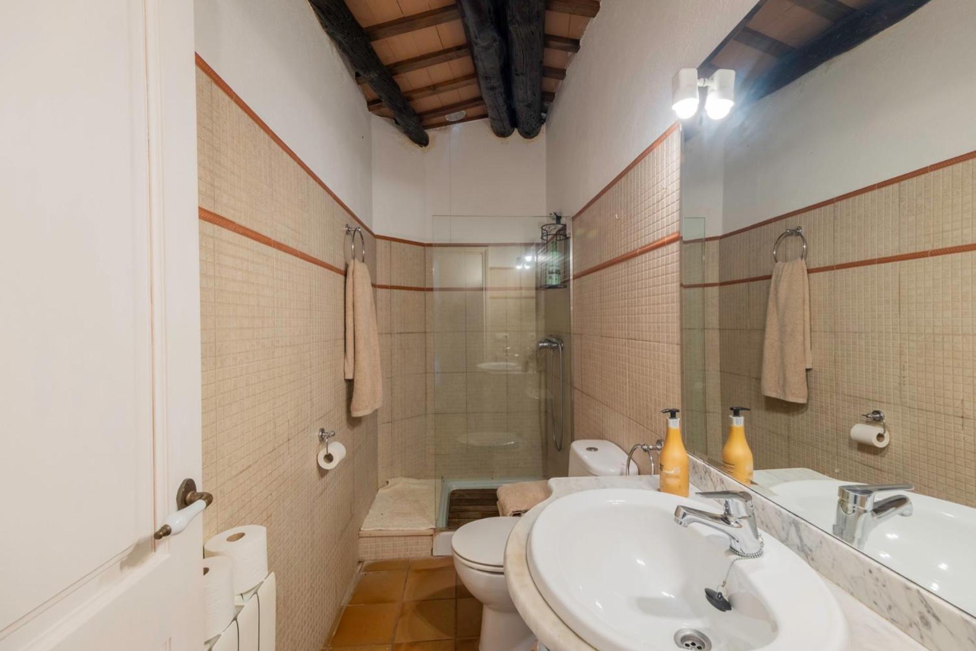 Three-Bedroom Apartment with View