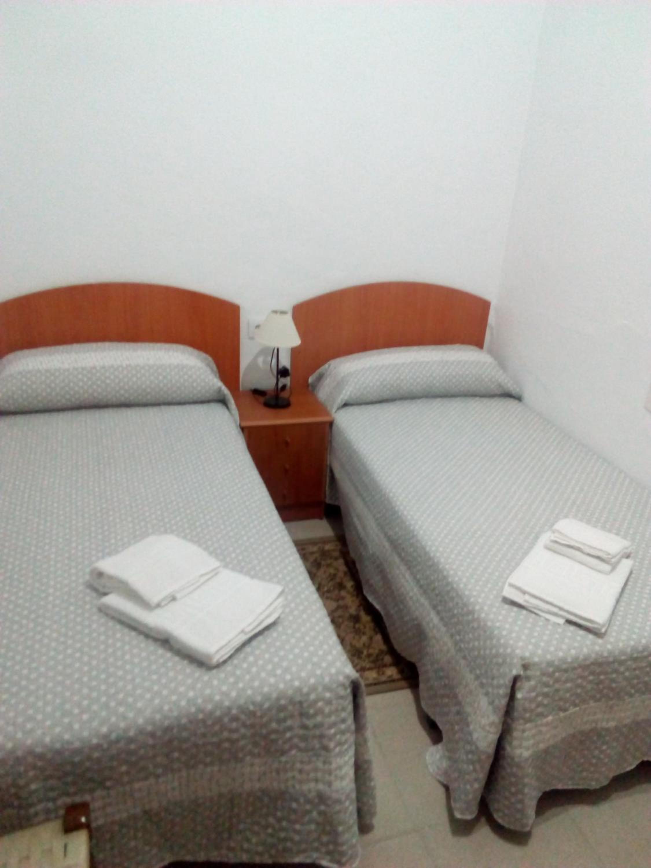 Suite Junior de Lujo