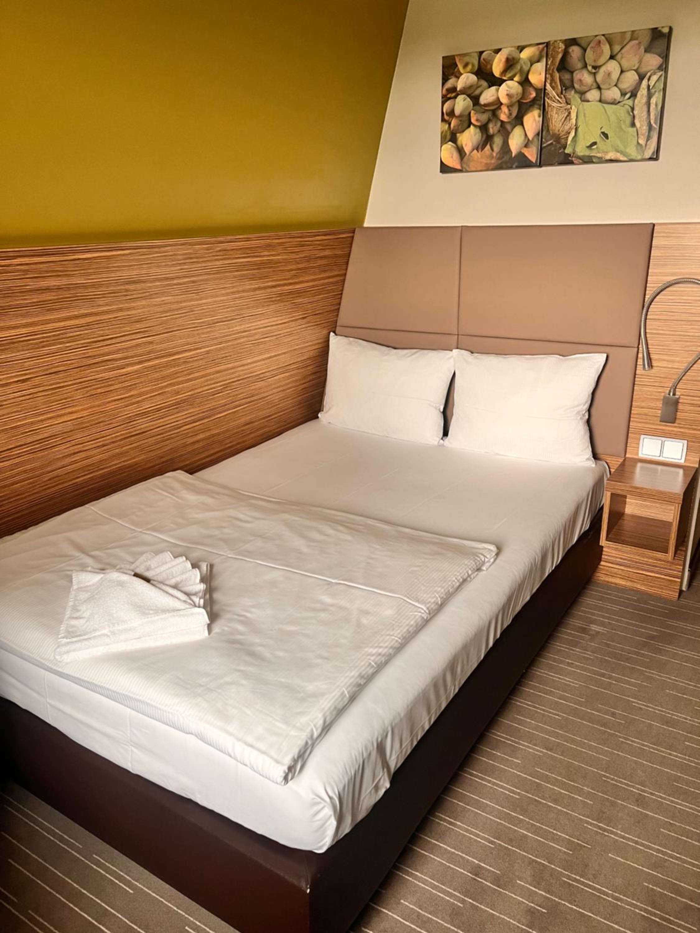 Deluxe Single Room photo 2