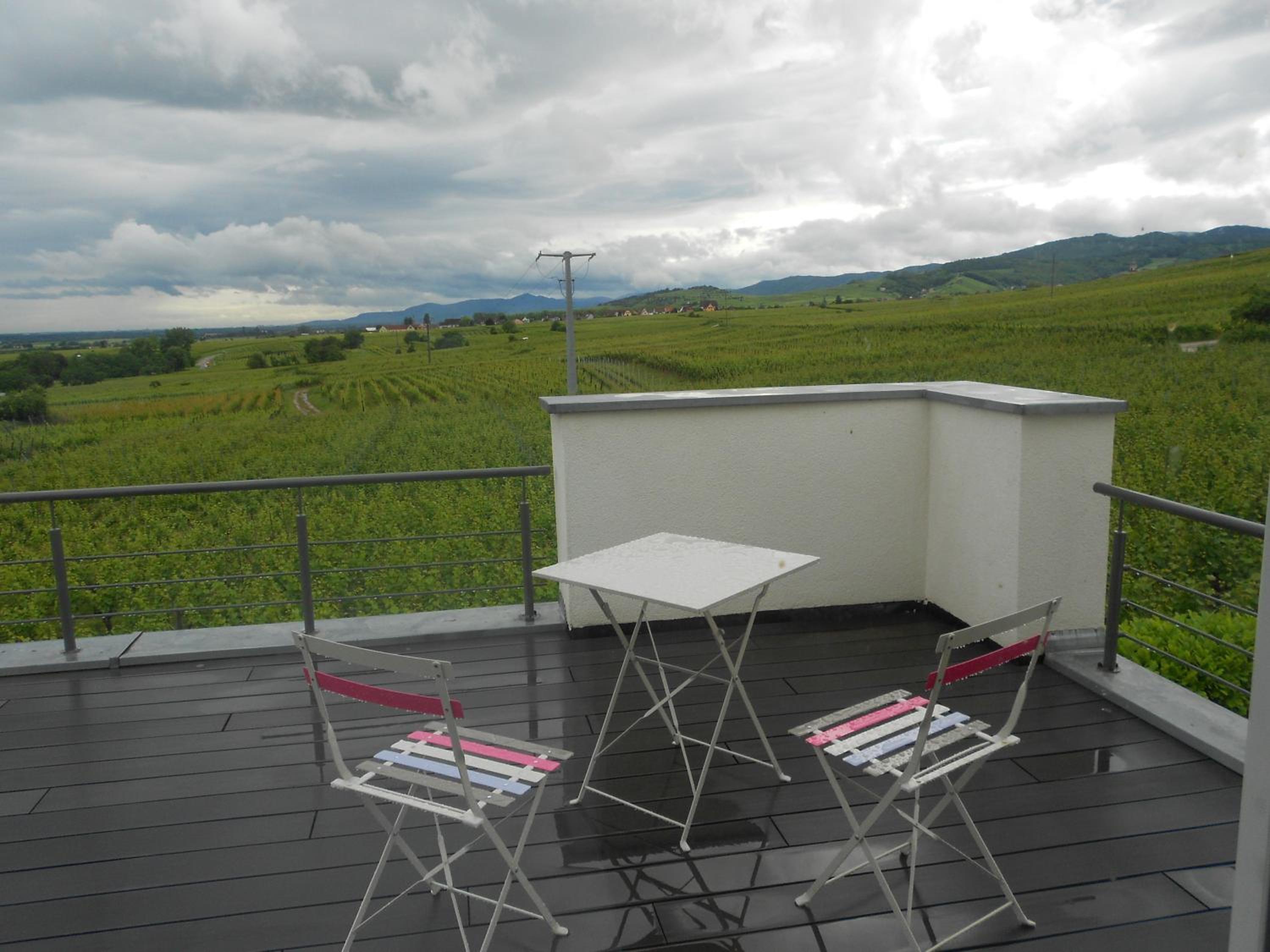 Double Room with Terrace photo 3