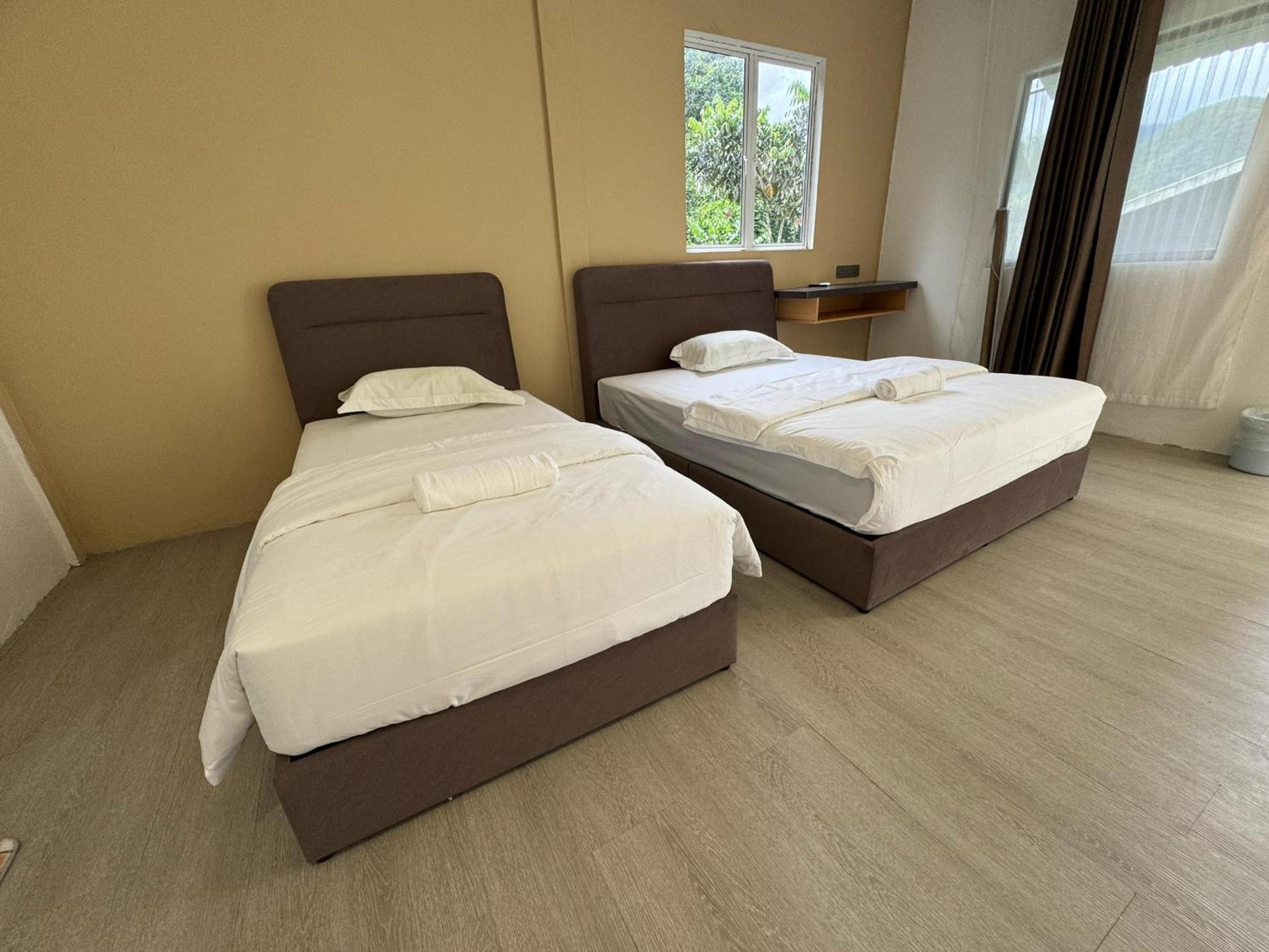 Deluxe Twin Room photo 2