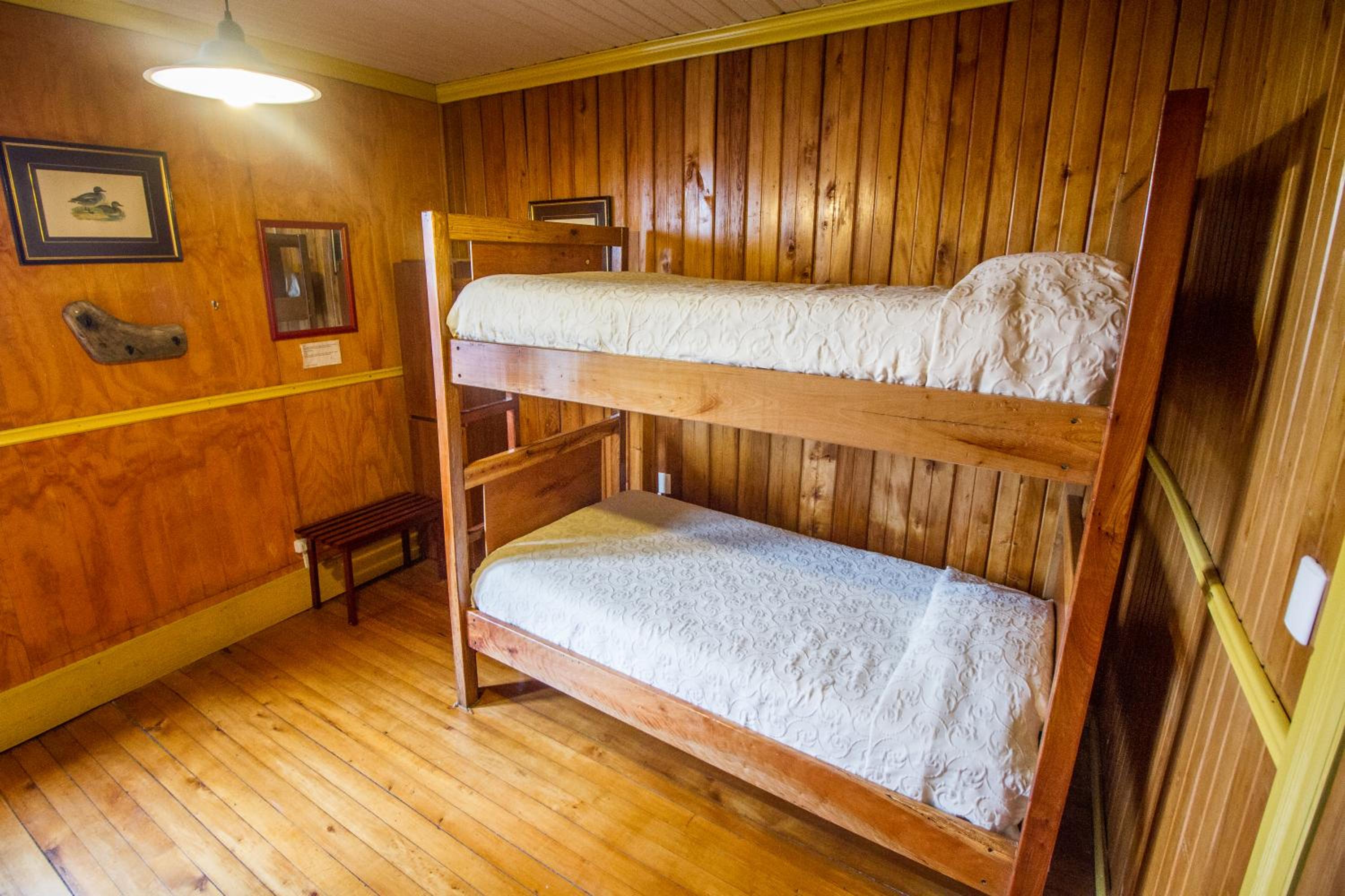 Bed in 4-Bed Female Dormitory Room photo 3