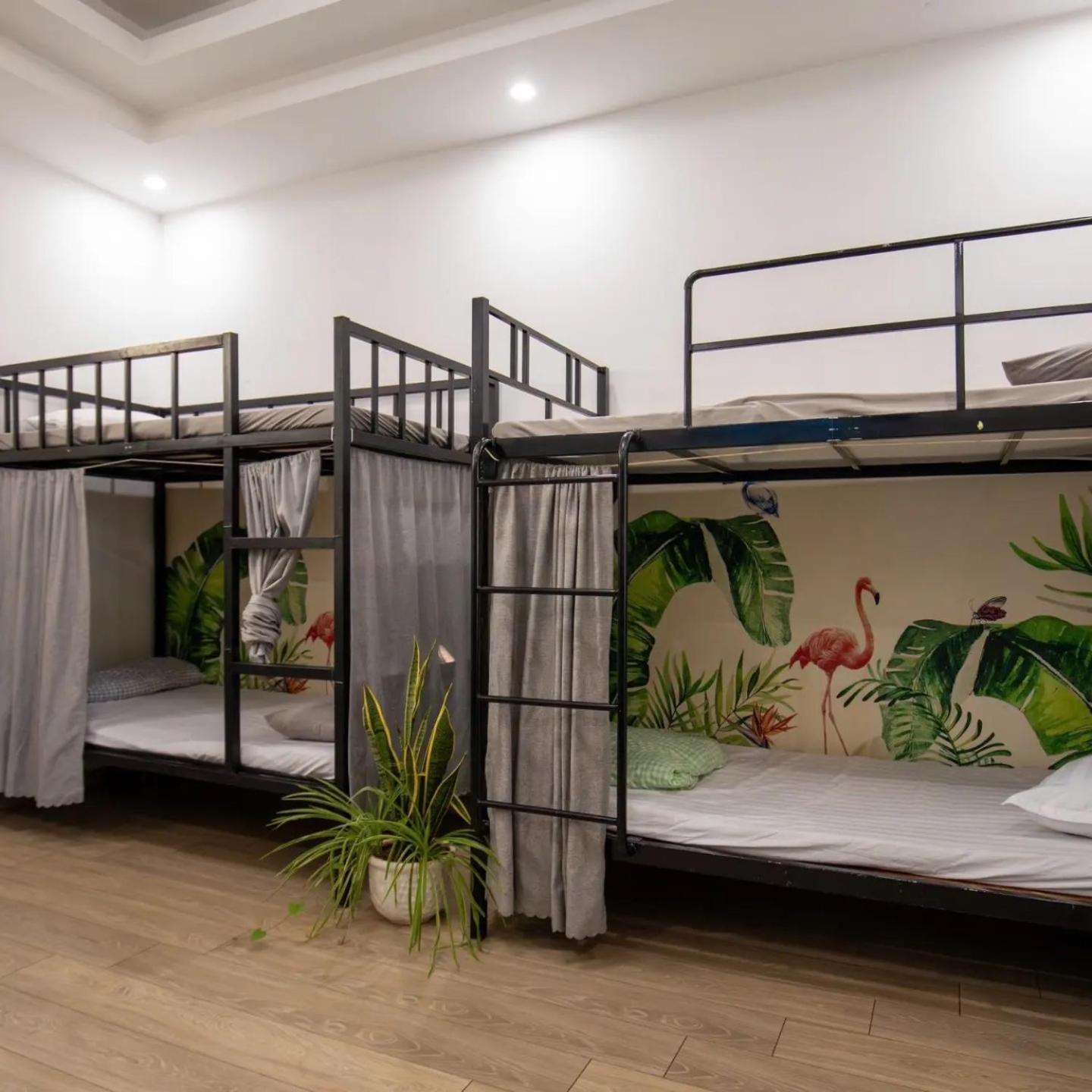 Bunk Bed in Mixed Dormitory Room photo 2
