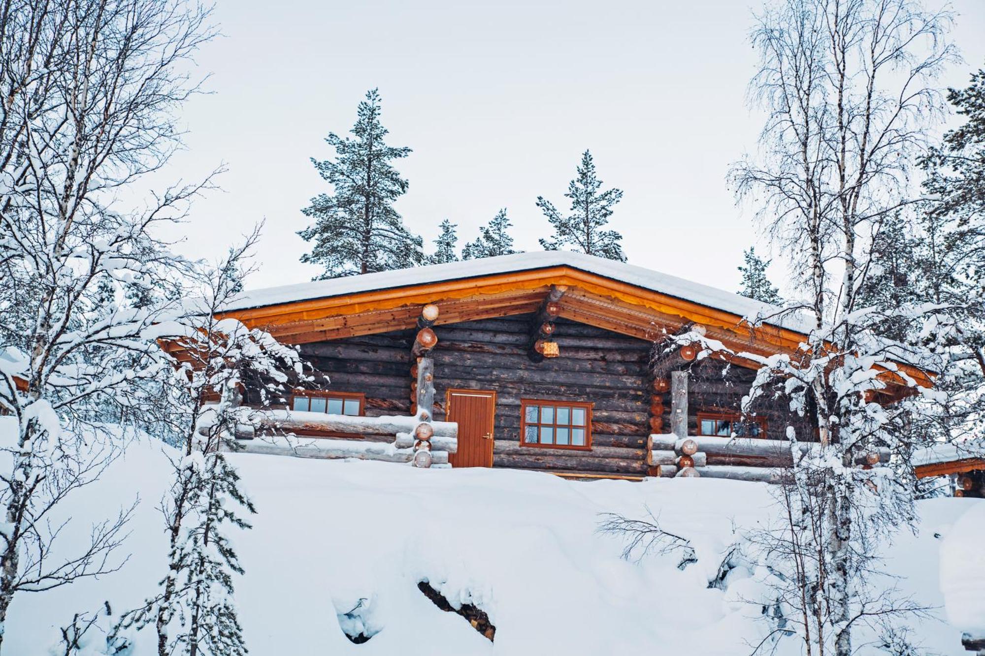 Large Chalet (West Village) - Photo 2