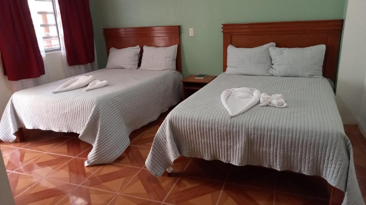 Twin Room photo 1