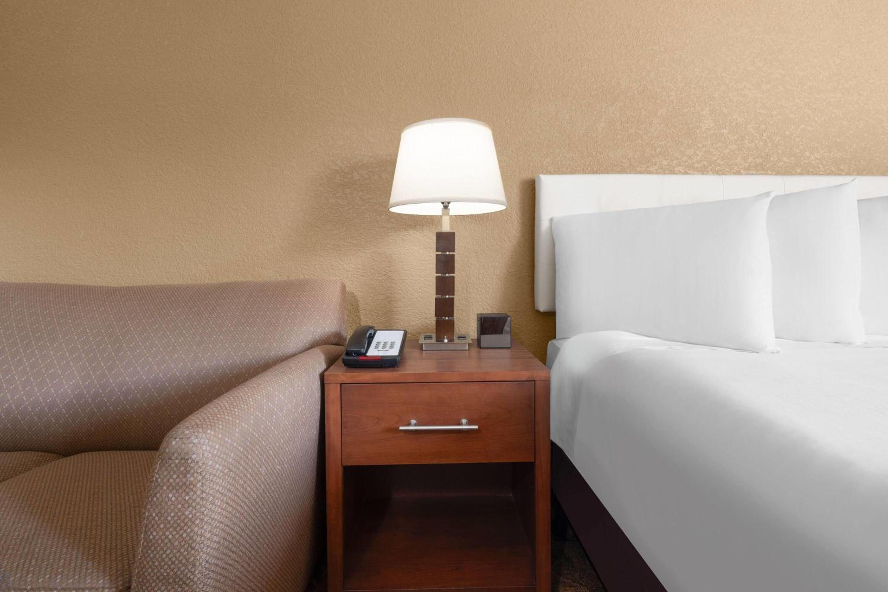 Deluxe King Suite with Kitchenette and Jetted Tub - Nonsmoking
 - Photo 4
